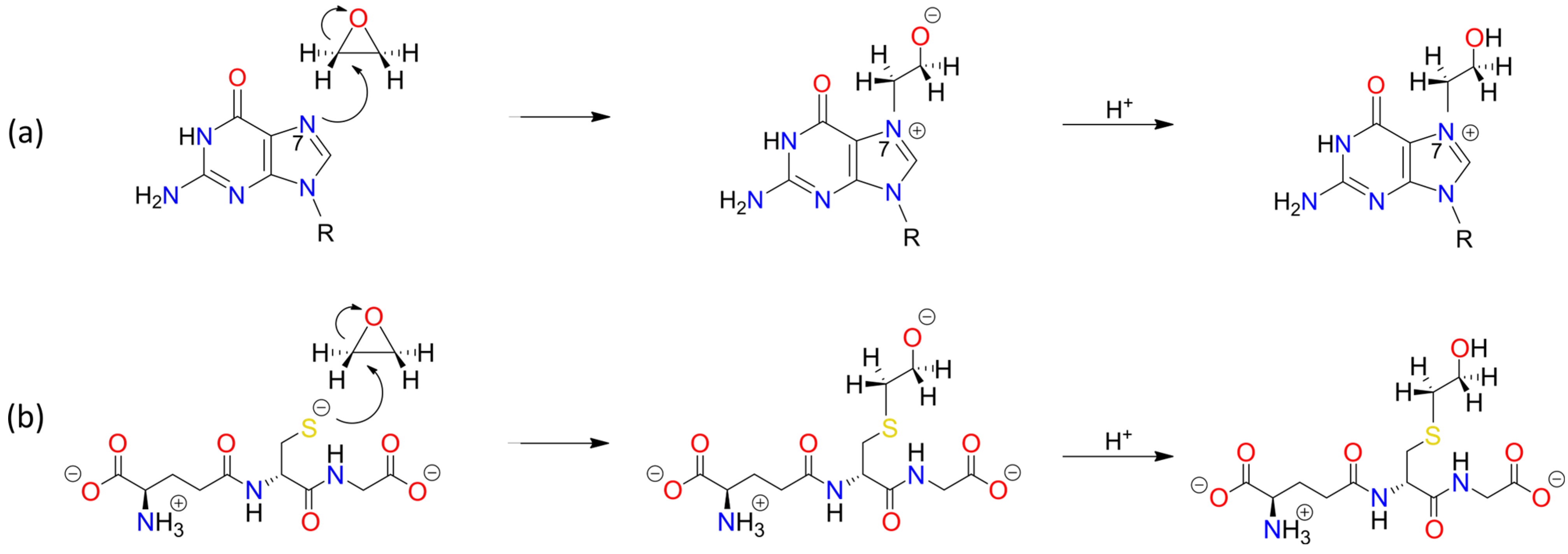 Foods 13 02708 sch0a3