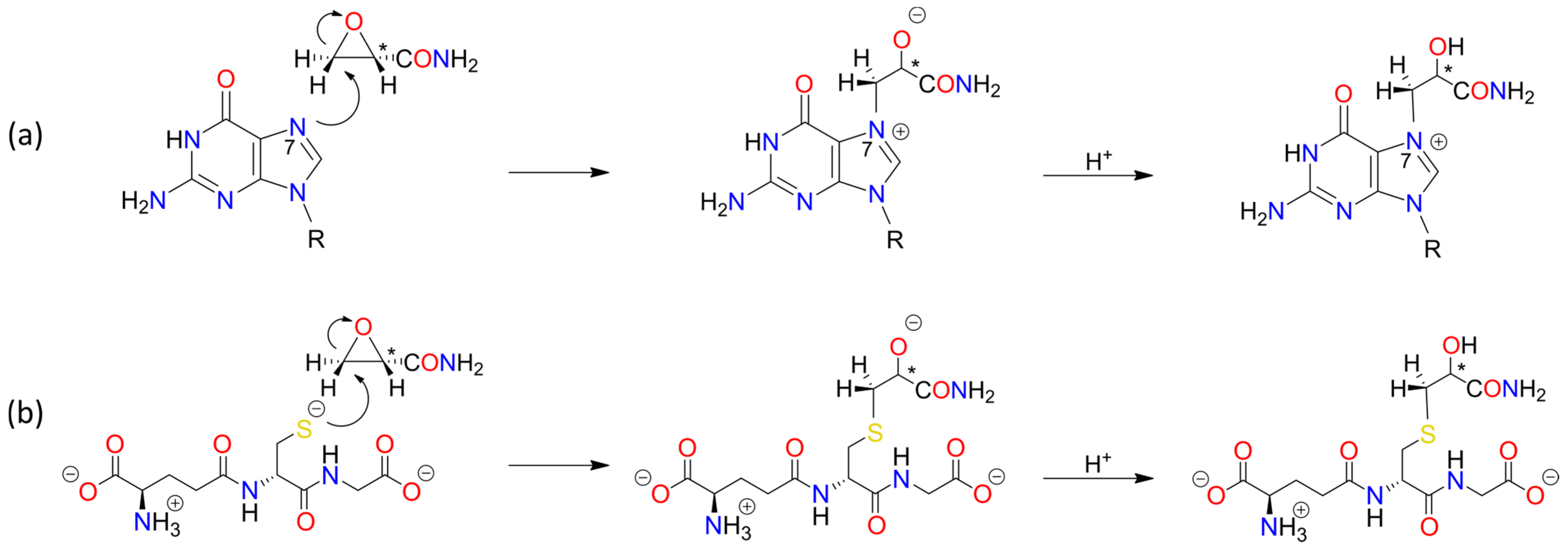 Foods 13 02708 sch0a4