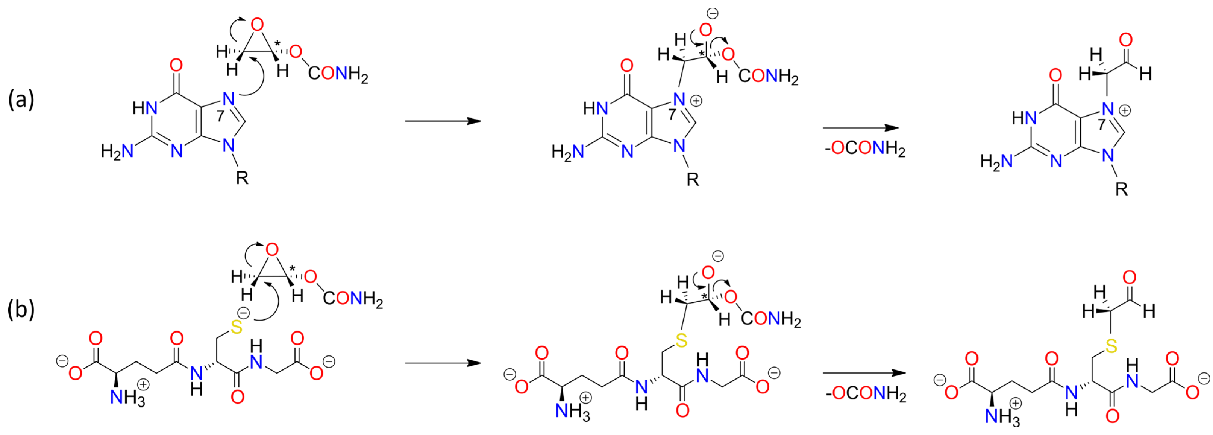 Foods 13 02708 sch0a5