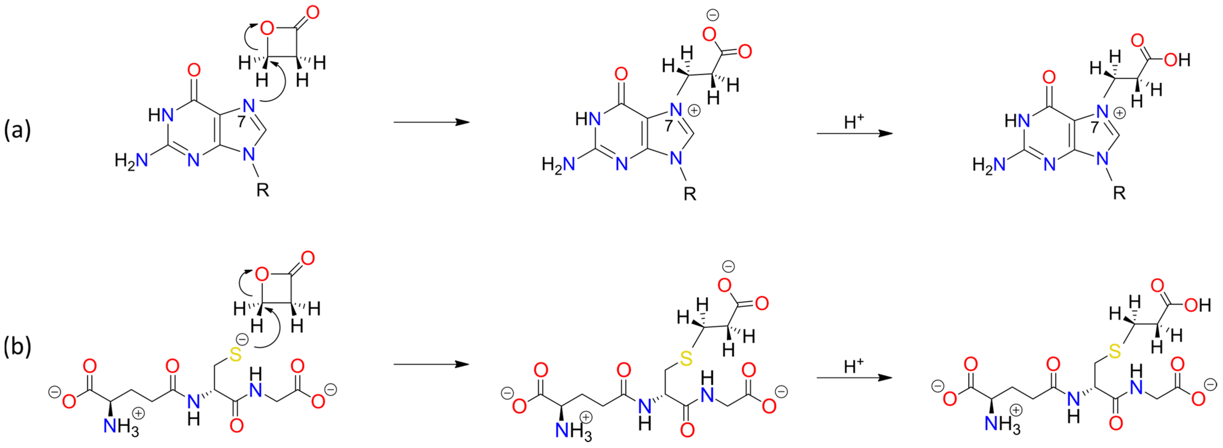 Foods 13 02708 sch0a6