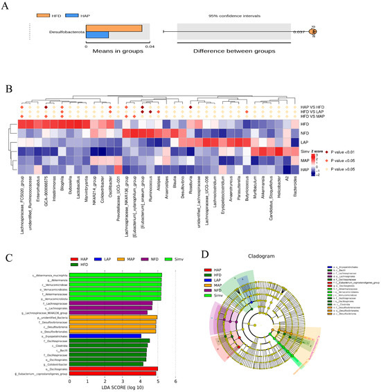 Widely Targeted Lipidomics and Microbiomics Perspectives