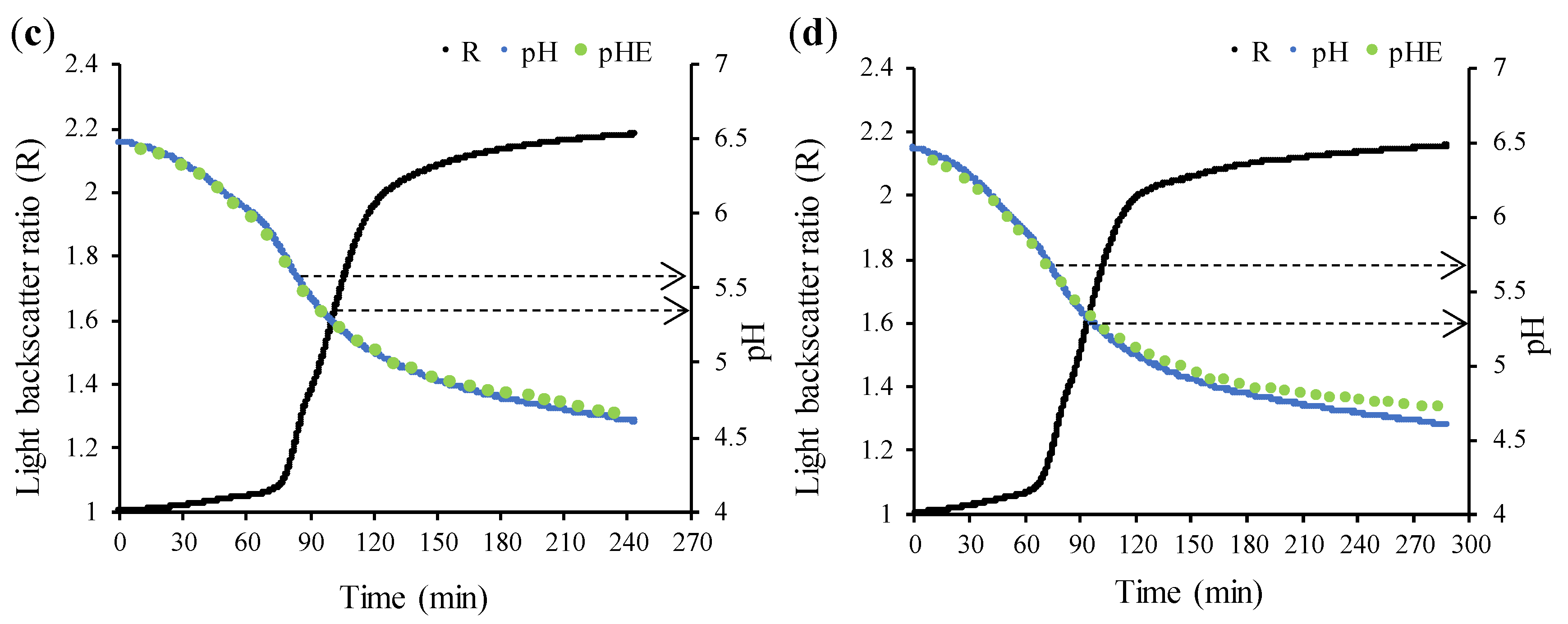Foods 13 02766 g003b