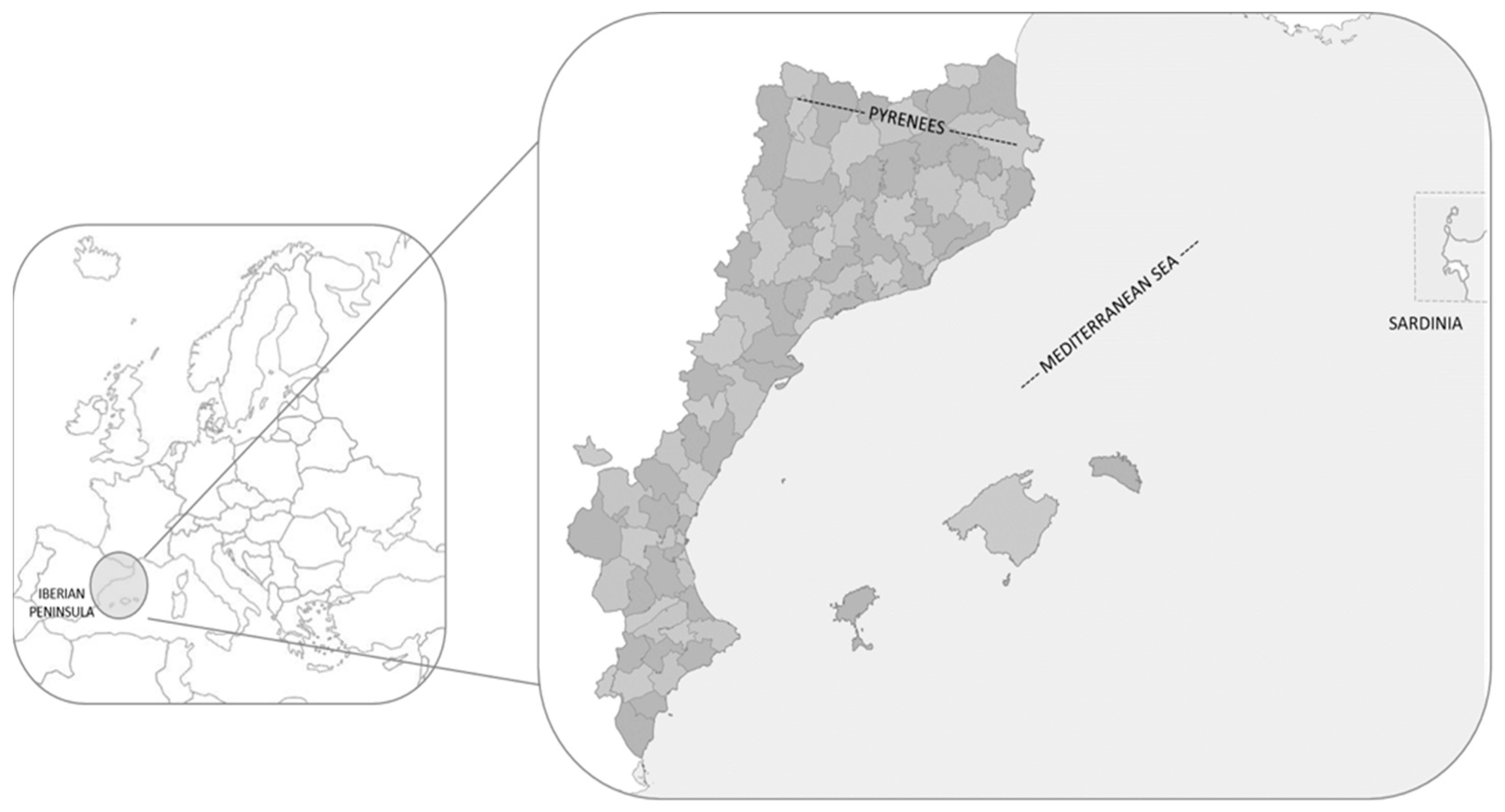Foods 13 02785 g001 Foods 13 02785 g001