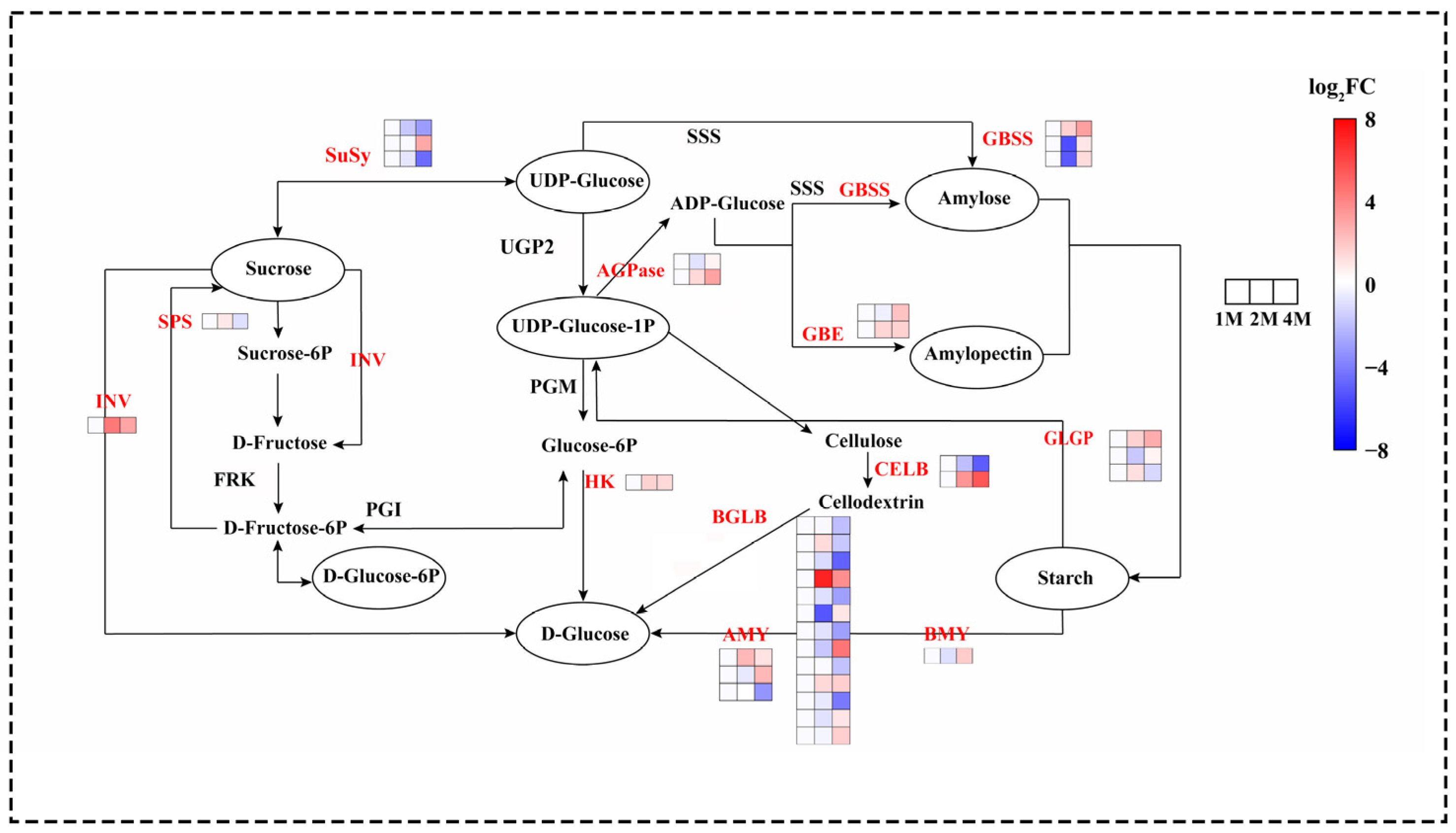 Foods 13 02822 g003 Foods 13 02822 g003