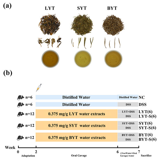 Yellow Teas Protect against DSS-Induced Ulcerative Colitis Yellow Teas Protect against DSS-Induced Ulcerative Colitis