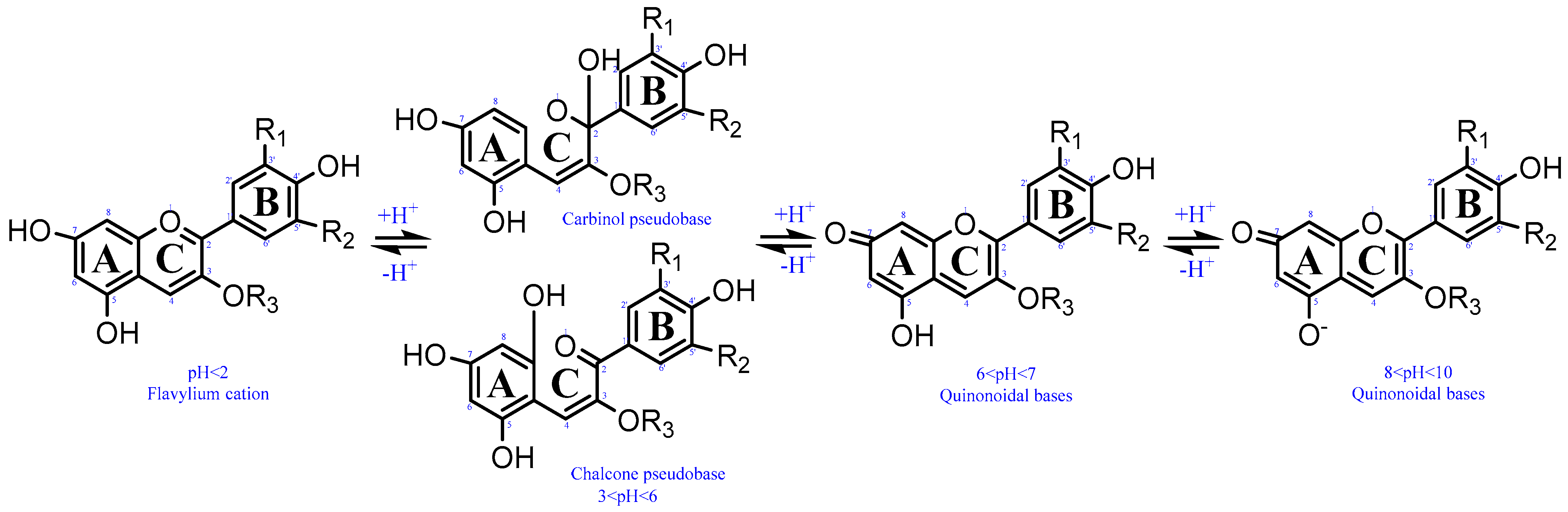 Foods 13 02851 g002 Foods 13 02851 g002