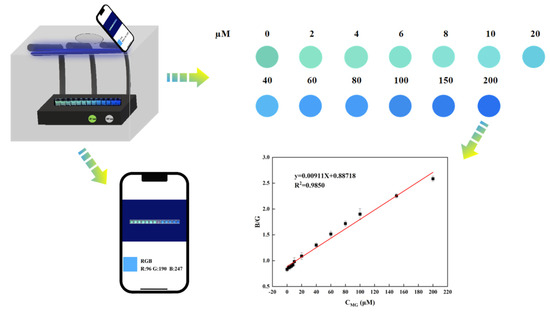 Enhanced Sensitivity and Accuracy of Tb3+-Functionalized