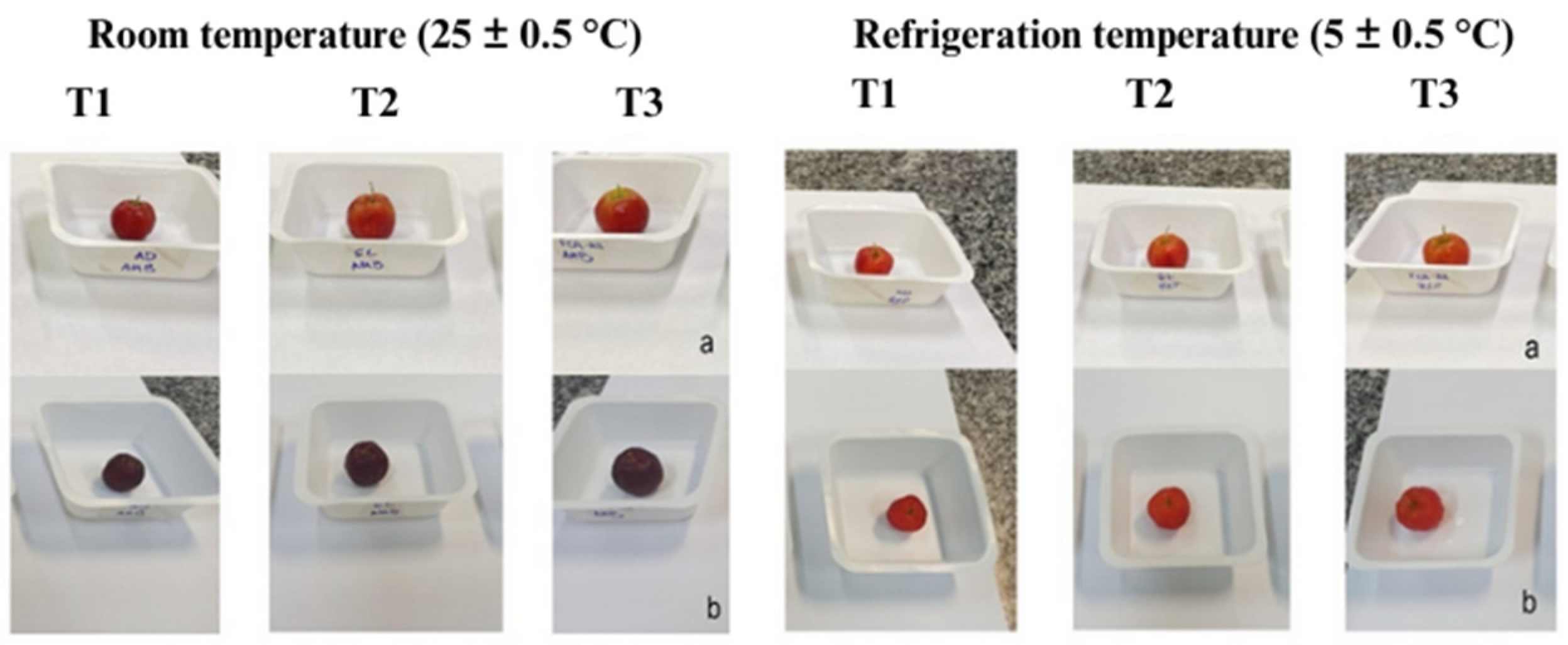 Foods 13 02873 g001 Foods 13 02873 g001