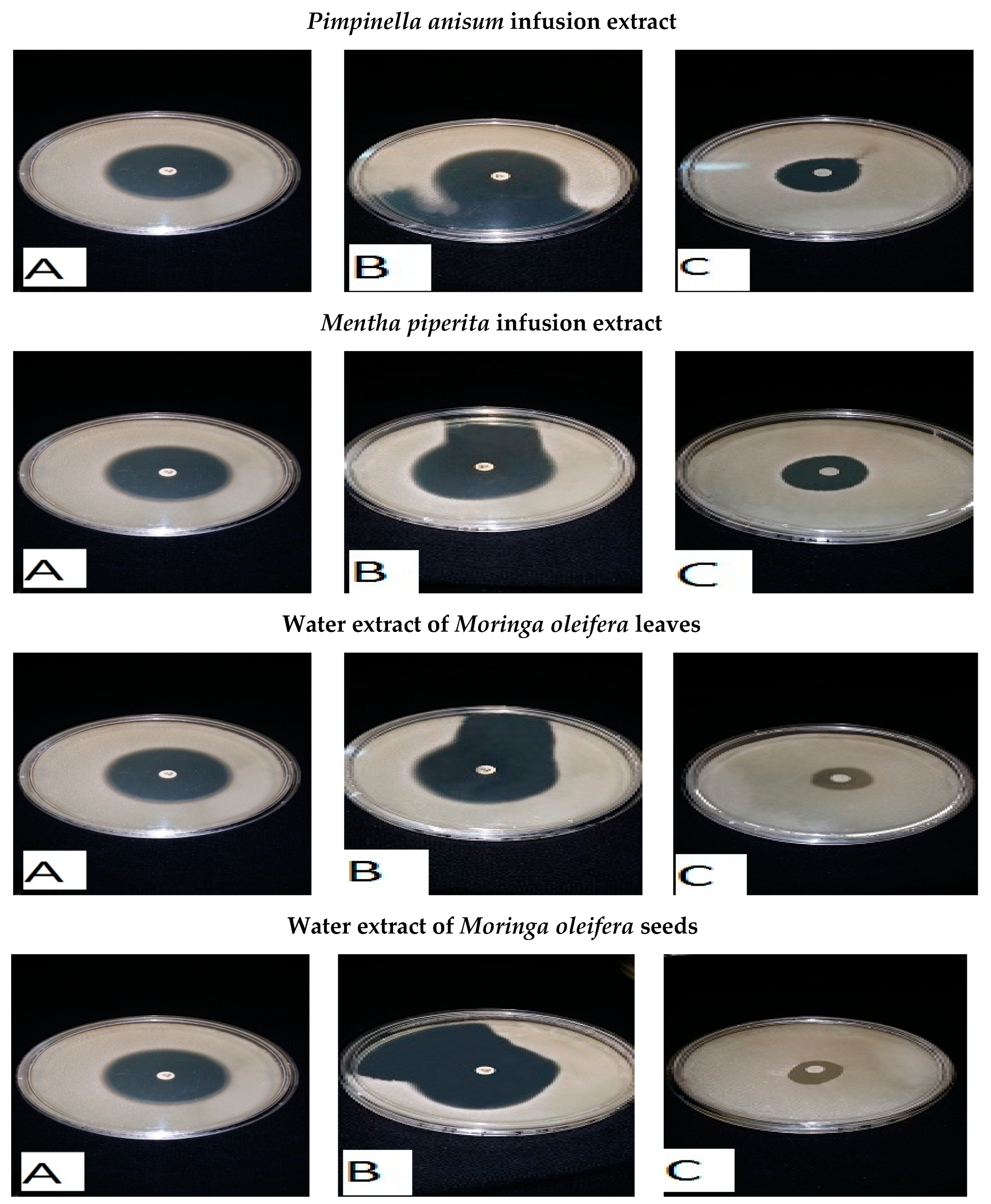 Foods 13 02915 g014b