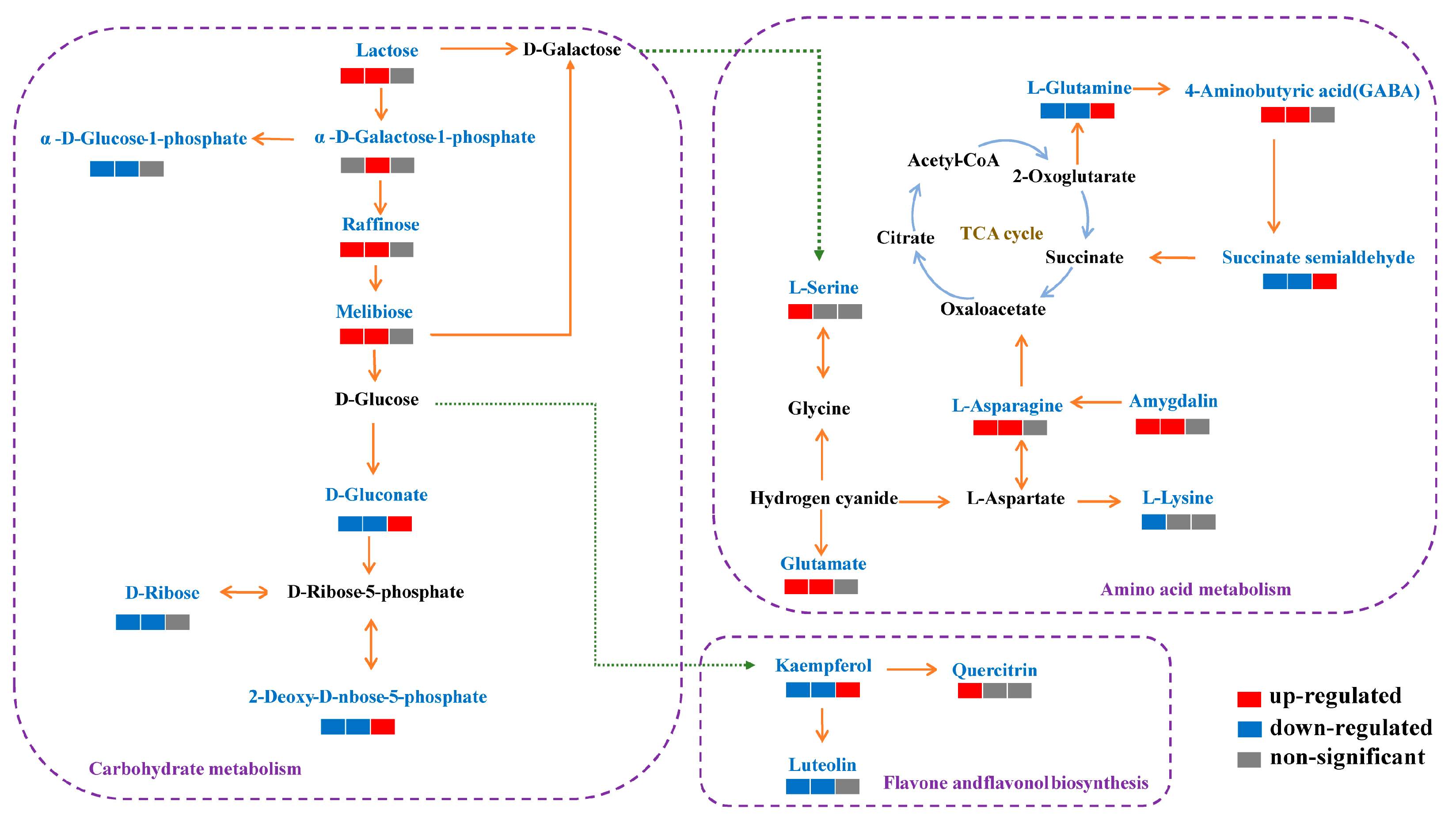 Foods 13 02968 g006 Foods 13 02968 g006