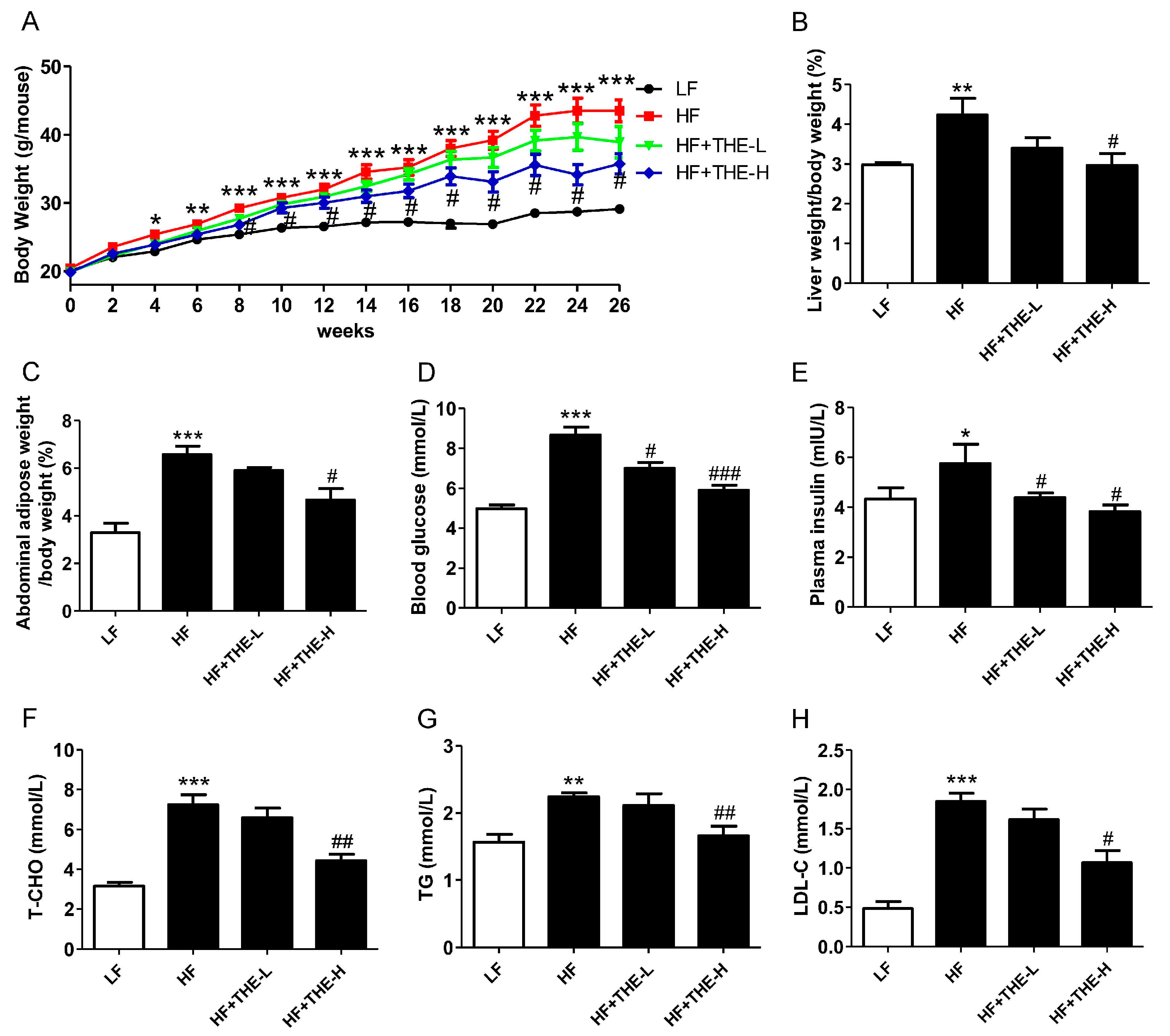 L-Theanine Ameliorates Obesity-Related Complications Induced