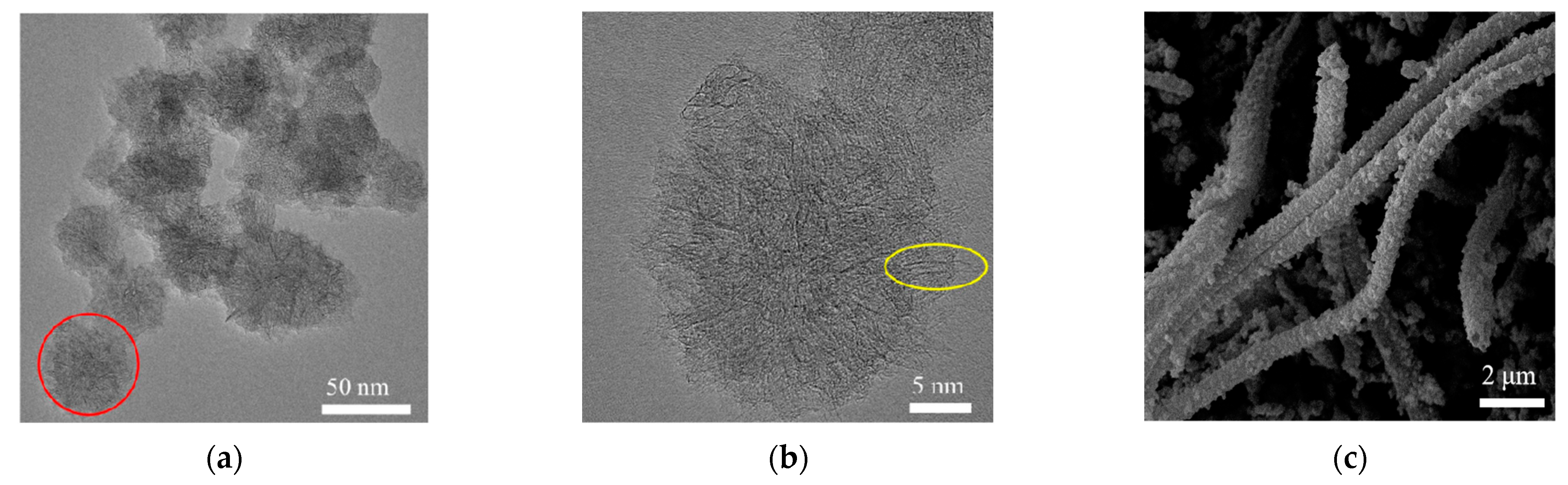 Foods 13 02996 g003a