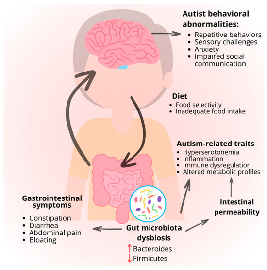 Autism Spectrum Therapies