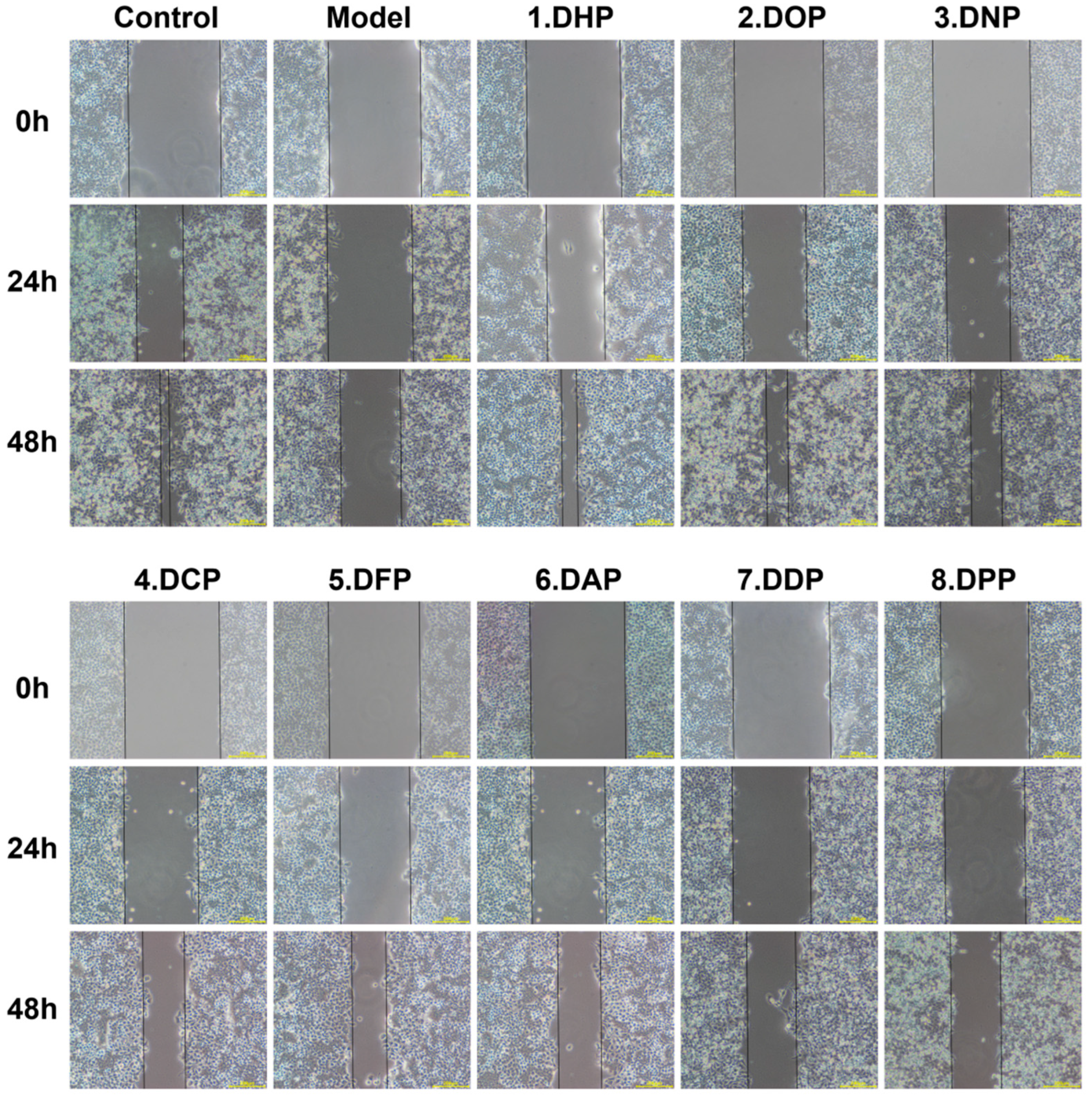 Foods 13 03011 g005a