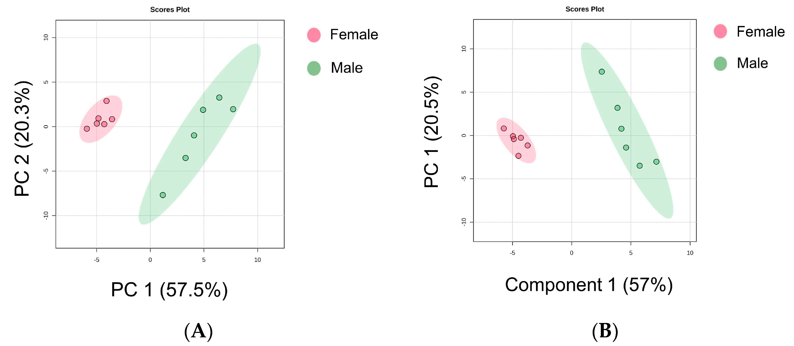 Foods 13 03048 g005a