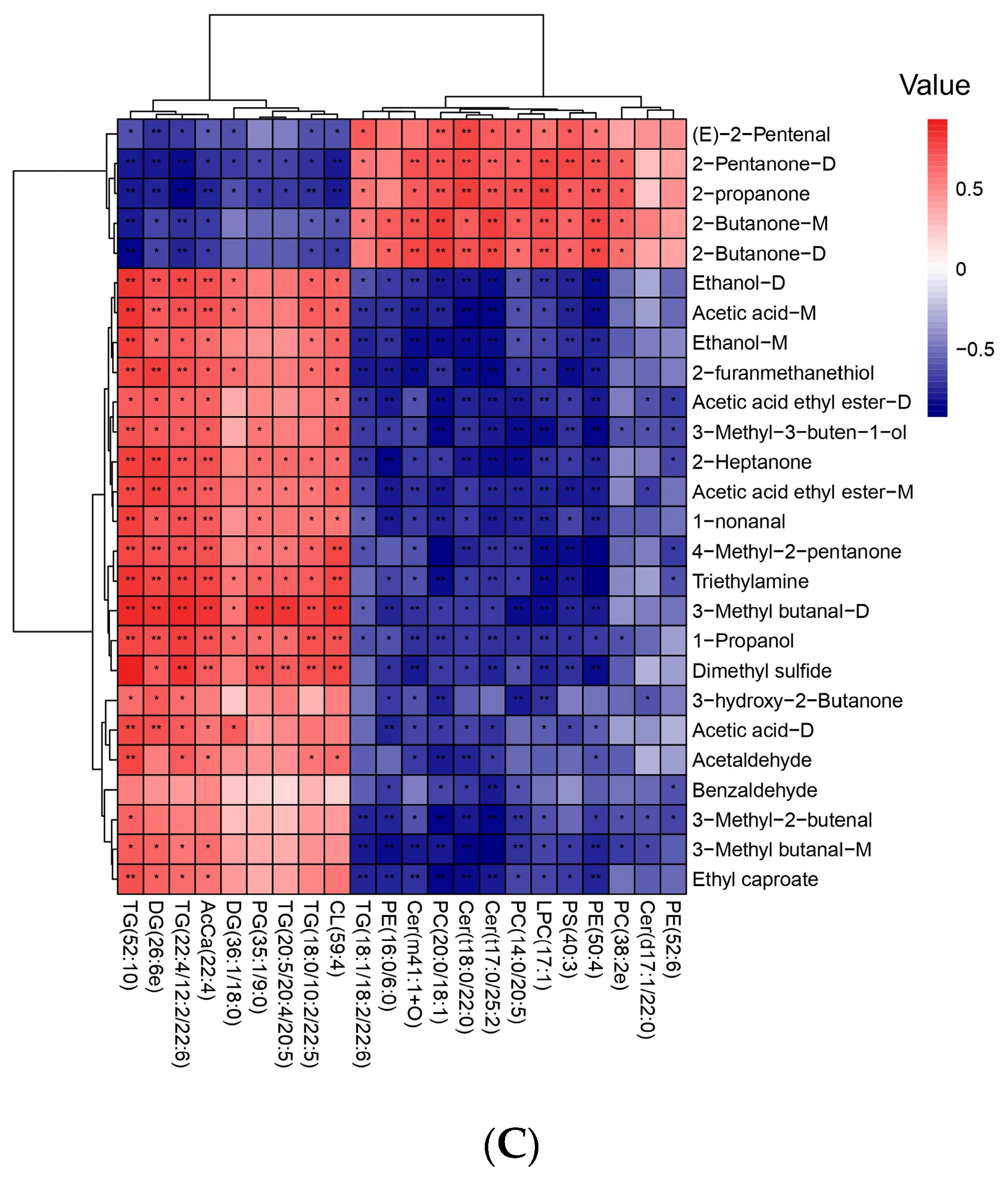 Foods 13 03048 g005b