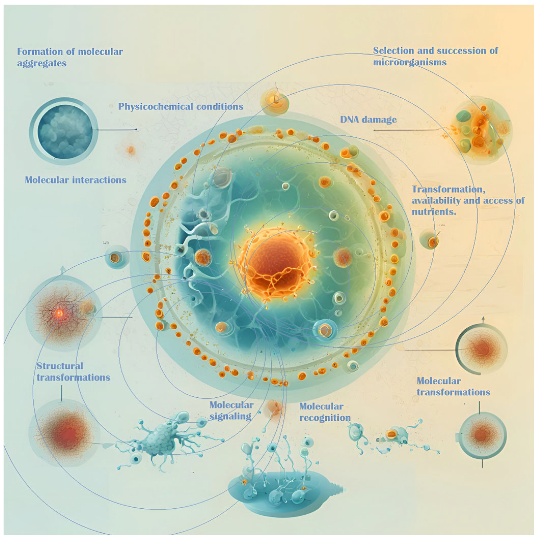 Foods 13 03058 g002 Foods 13 03058 g002