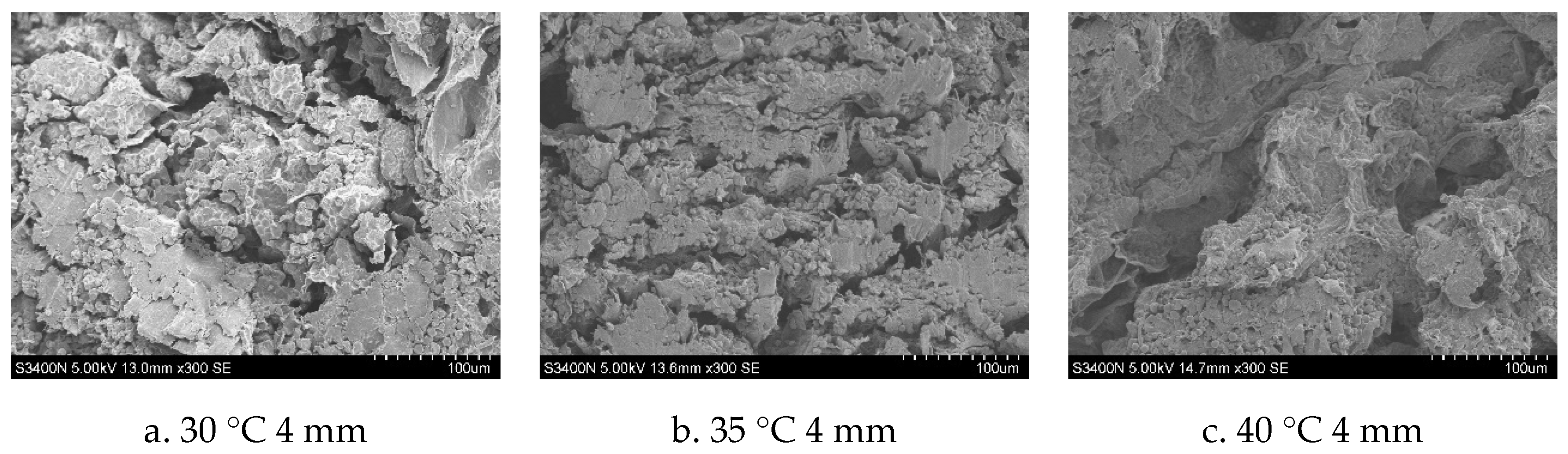 Foods 13 03075 g011a