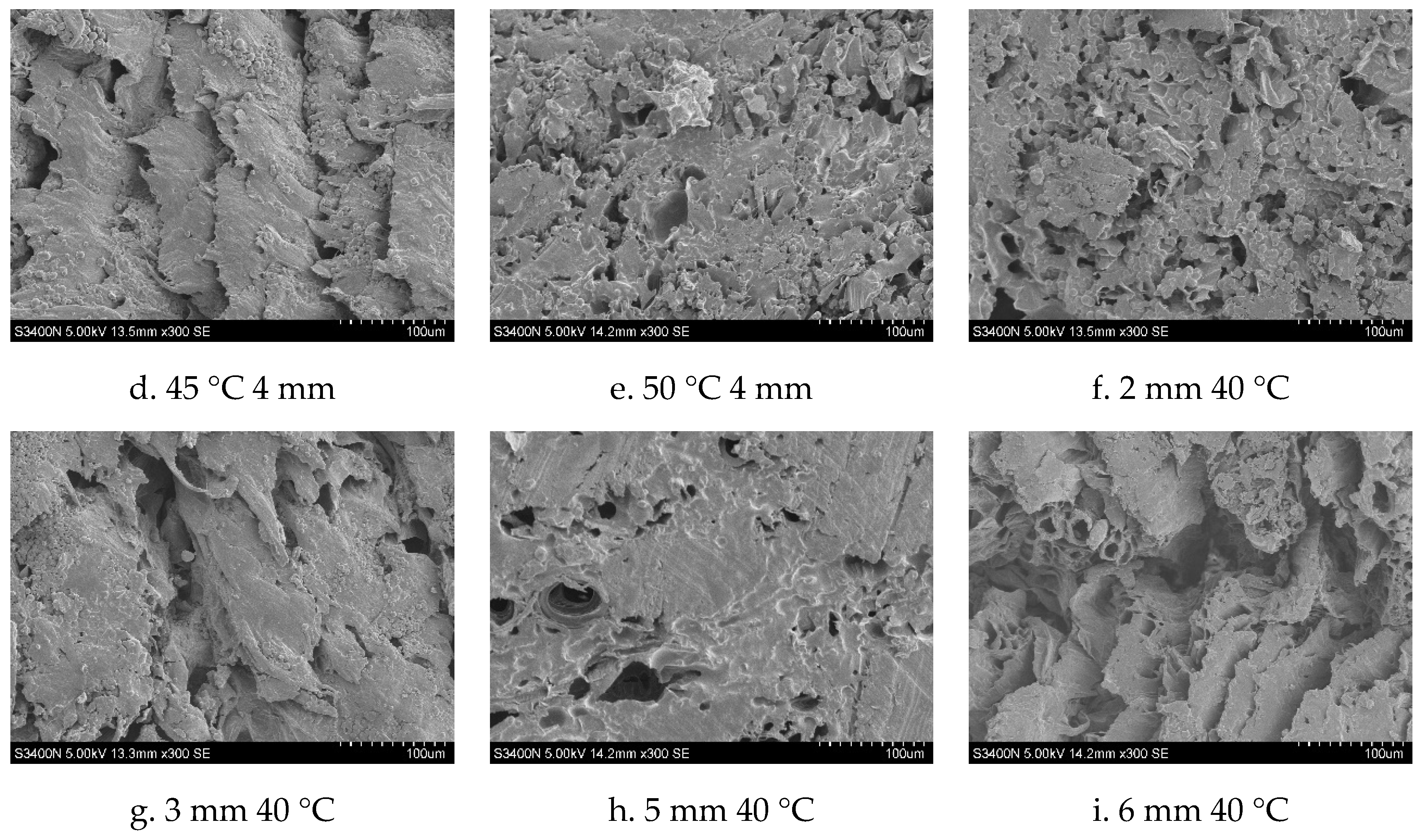Foods 13 03075 g011b