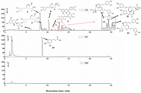 Phenolic Compositions of Different Fractions from Coffee