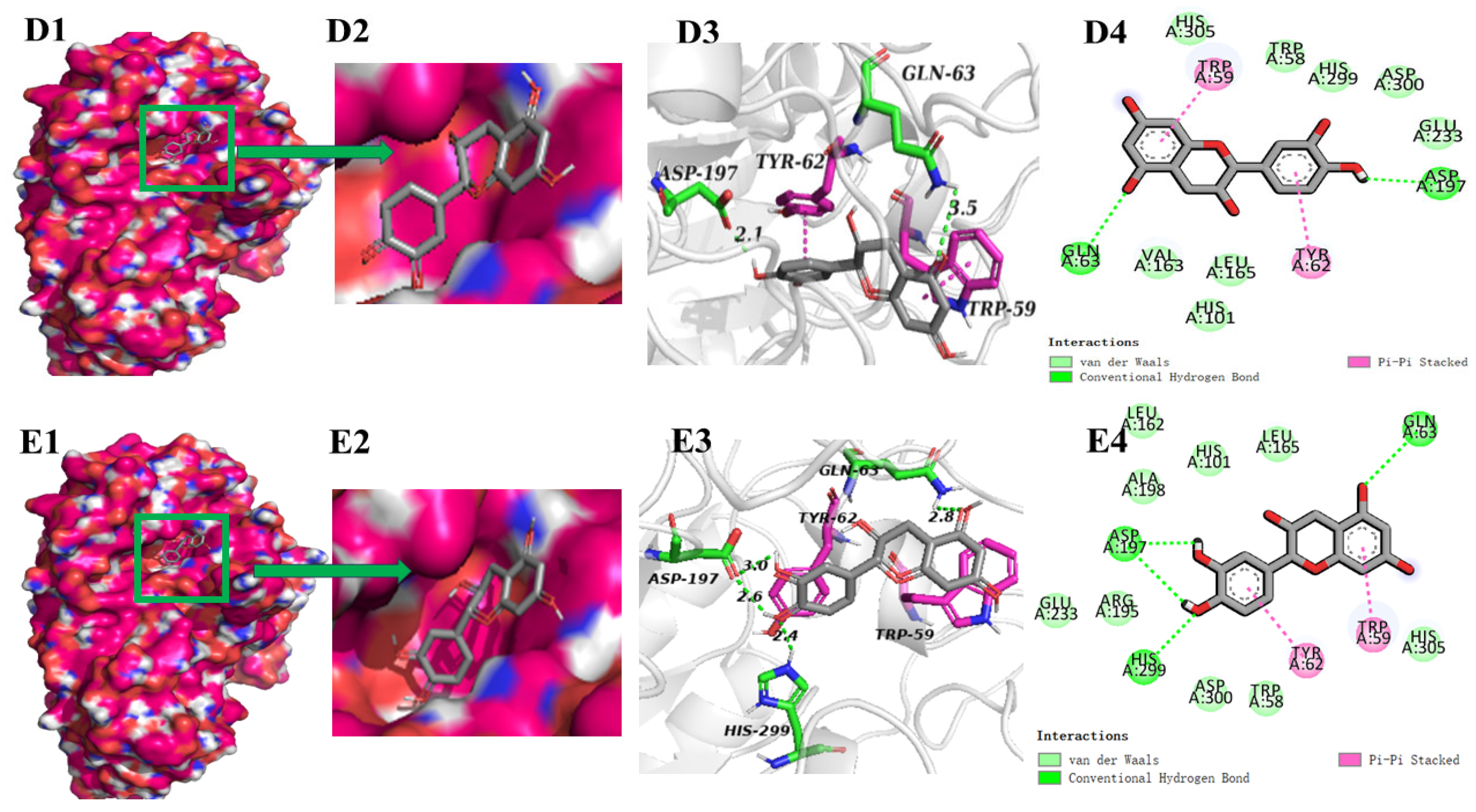 Foods 13 03083 g005b