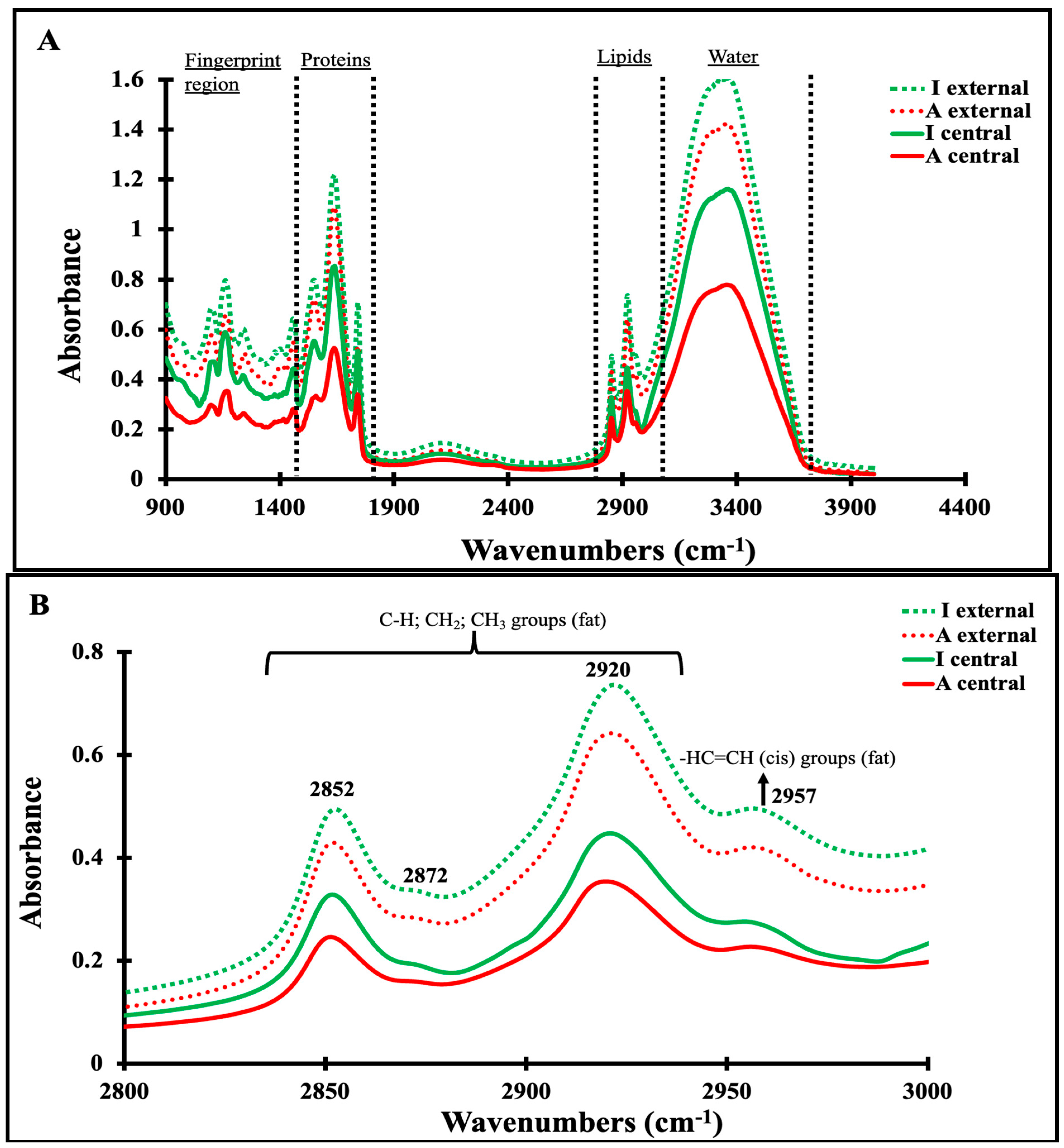Foods 13 03086 g003a Foods 13 03086 g003a