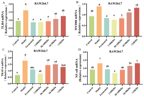 Evaluation of Functional Components of Lactobacillus Evaluation of Functional Components of Lactobacillus