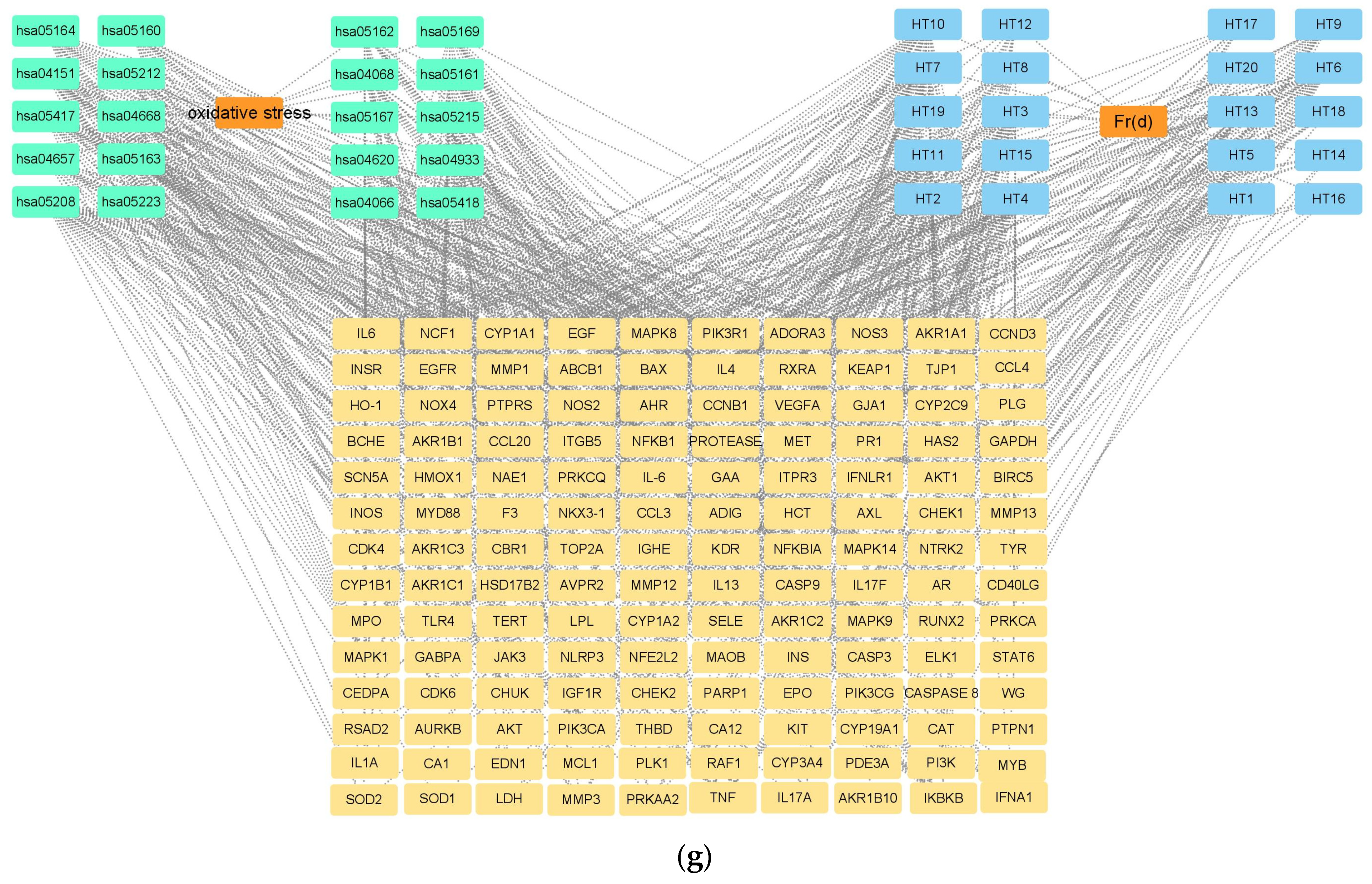 Foods 13 03116 g004c