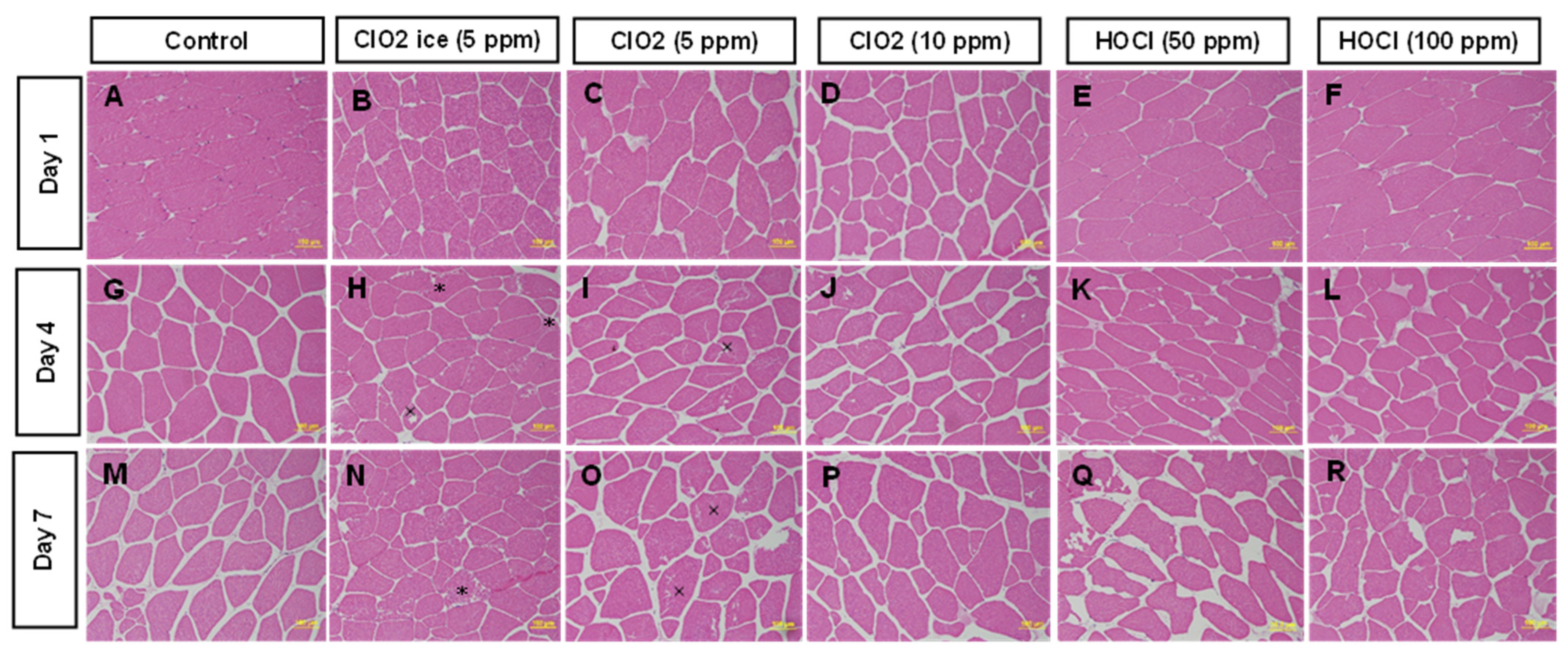 Foods 13 03156 g003 Foods 13 03156 g003