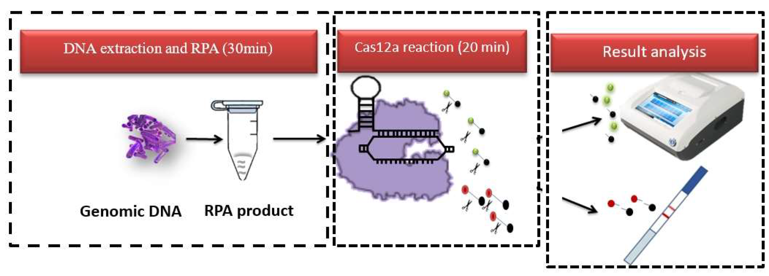 Foods 13 03200 g001 Foods 13 03200 g001