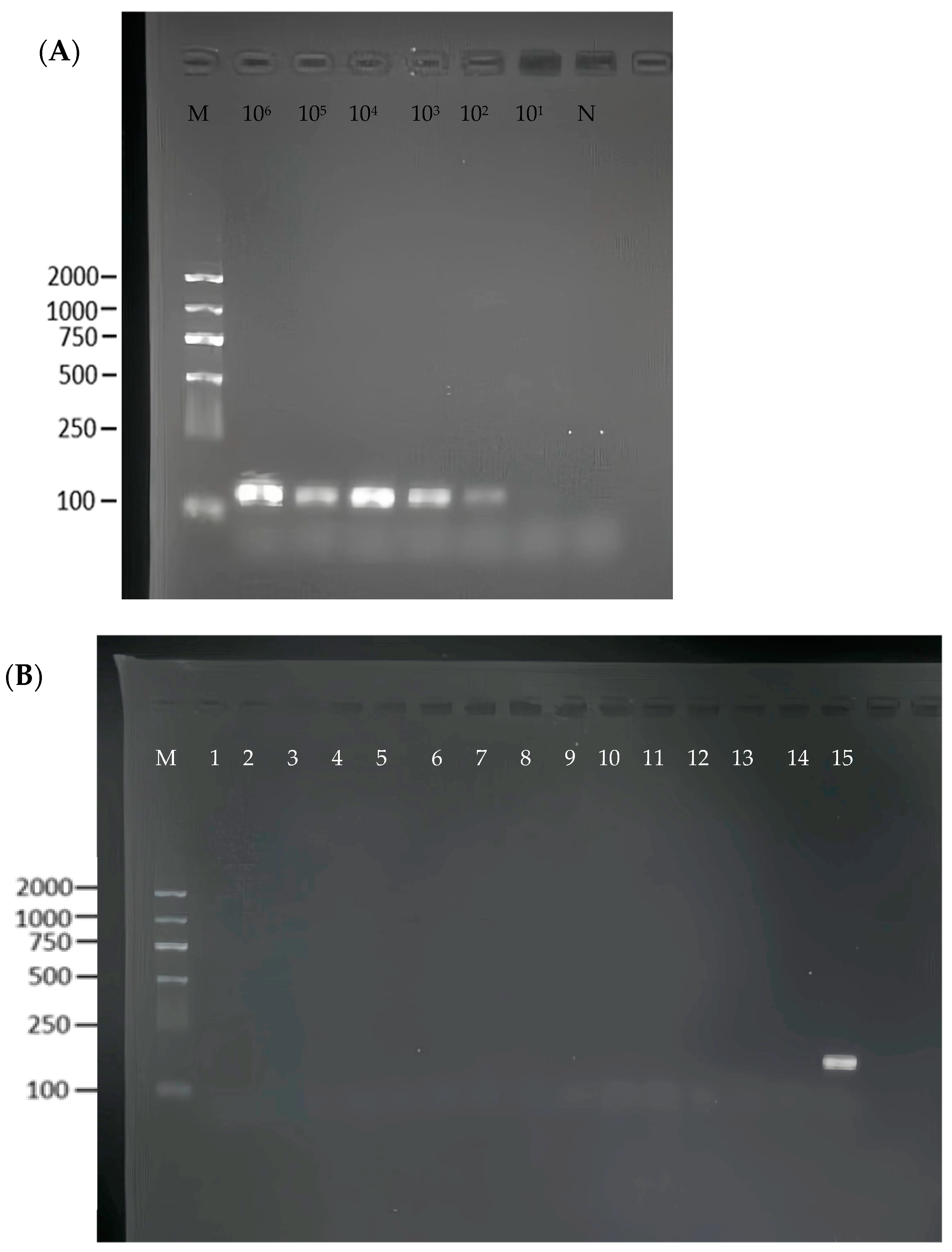 Foods 13 03200 g003 Foods 13 03200 g003