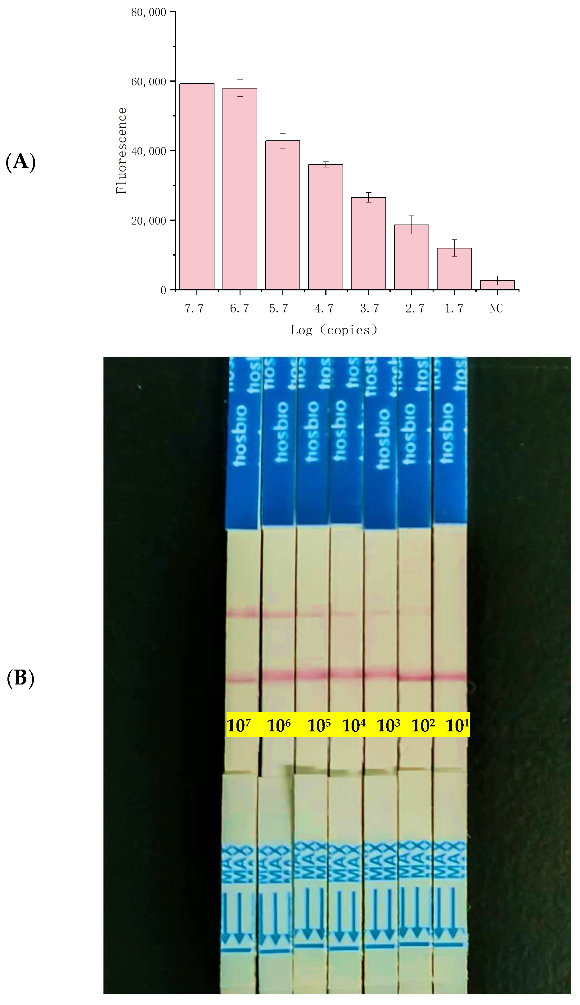 Foods 13 03200 g005 Foods 13 03200 g005
