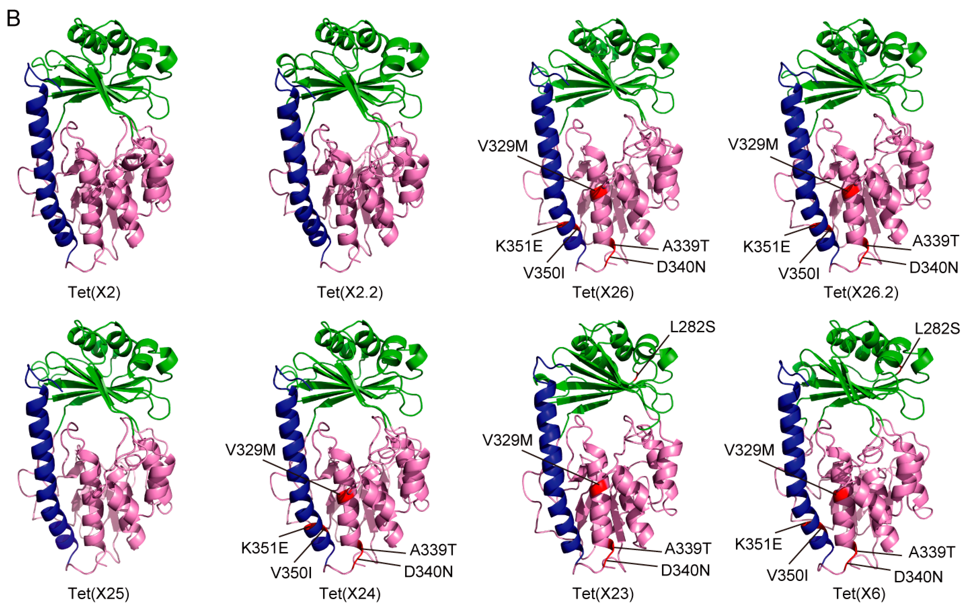 Foods 13 03201 g002b