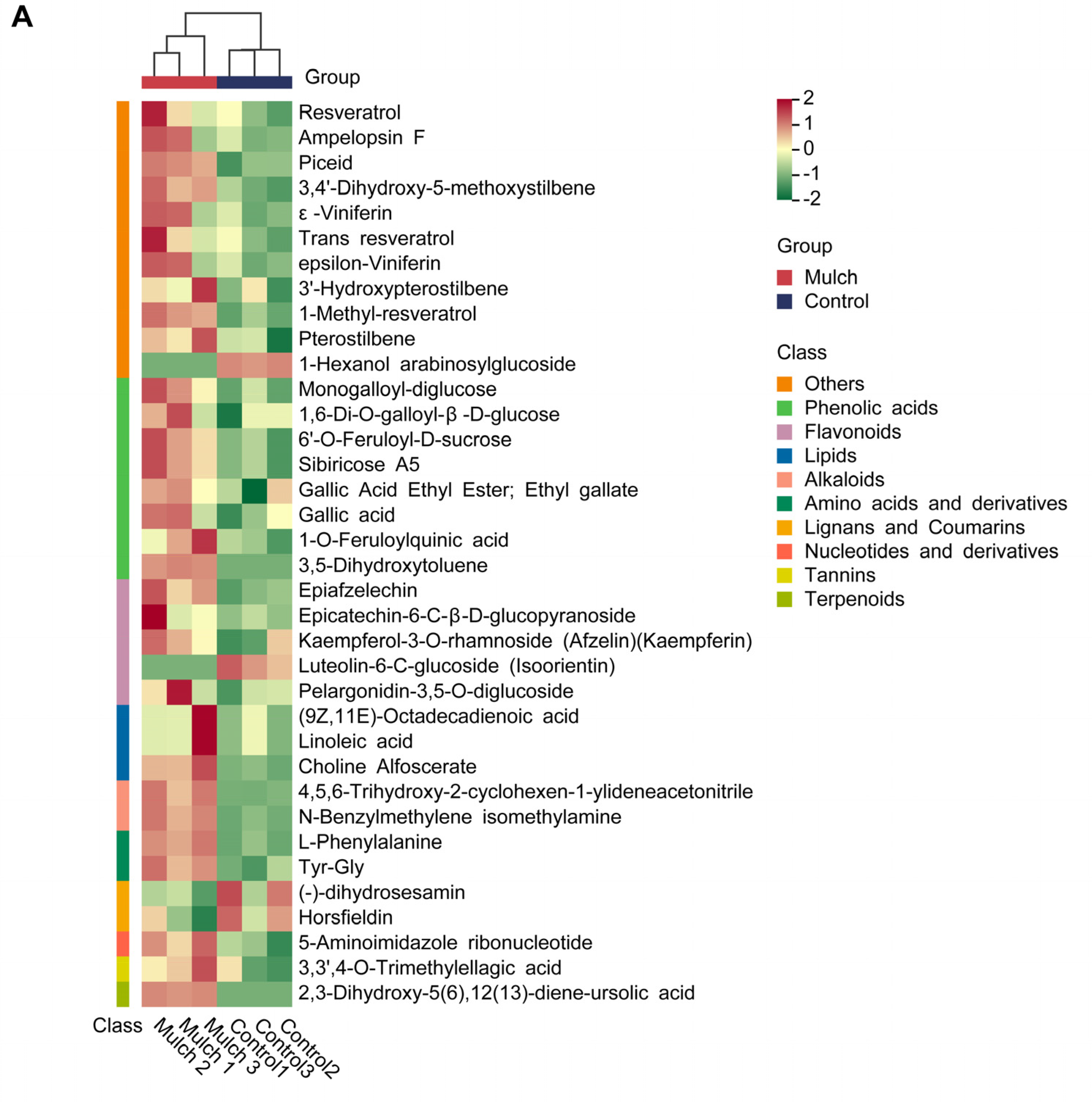 Foods 13 03208 g003a