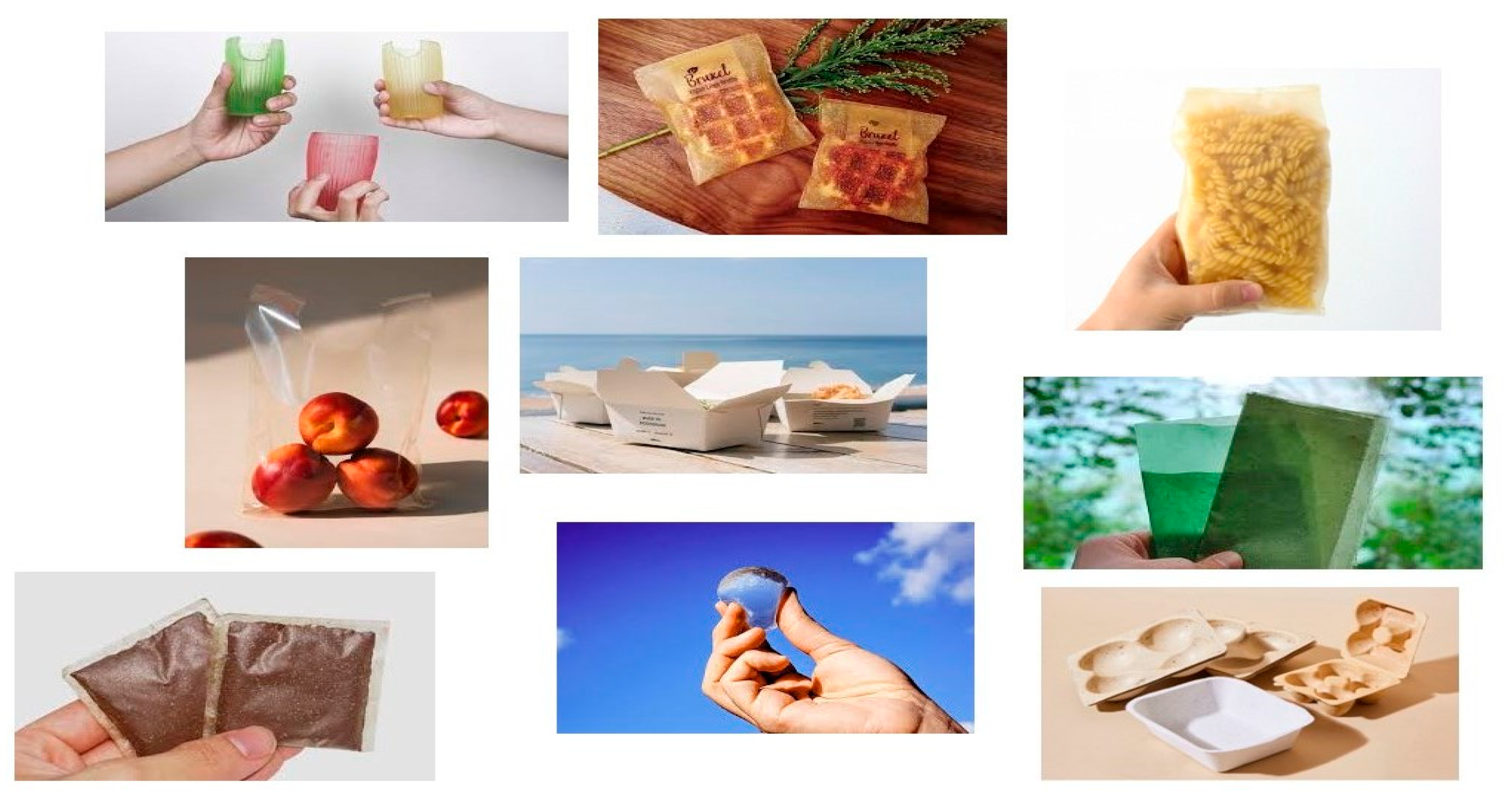 Foods 13 03212 g004 Foods 13 03212 g004