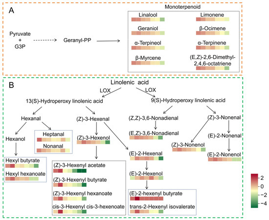 Dynamic Changes in Aroma Compounds during Processing of Flat Dynamic Changes in Aroma Compounds during Processing of Flat
