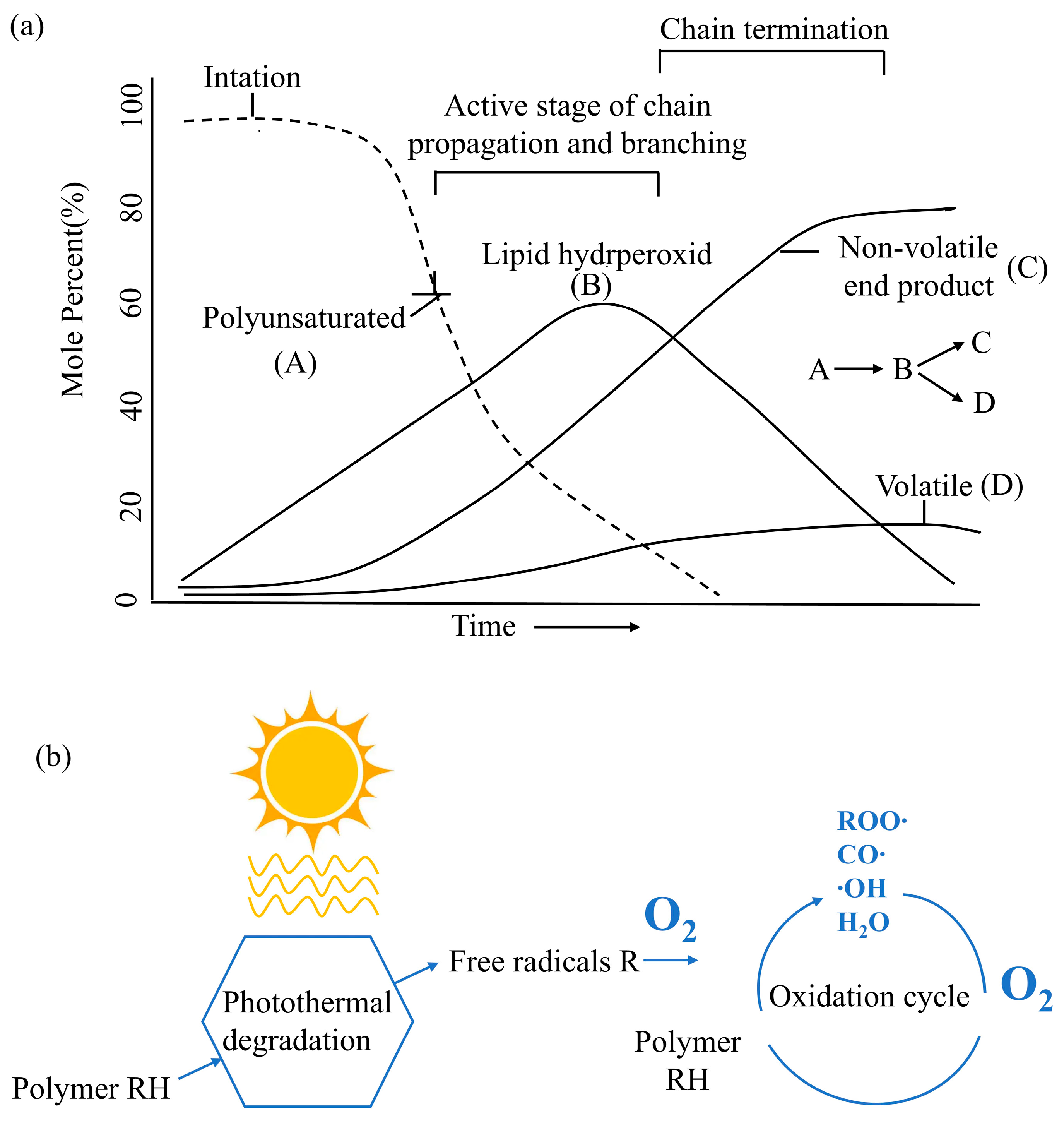 Foods 13 03262 g002a