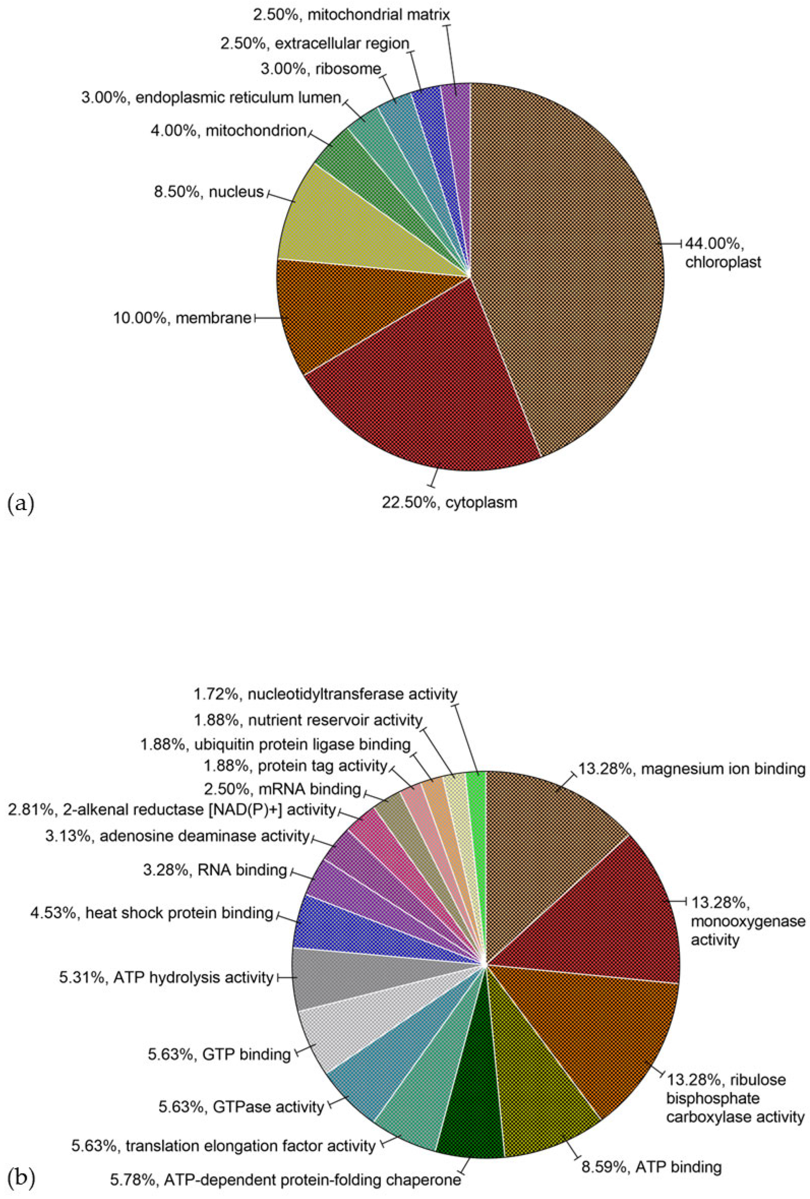 Foods 13 03275 g003a