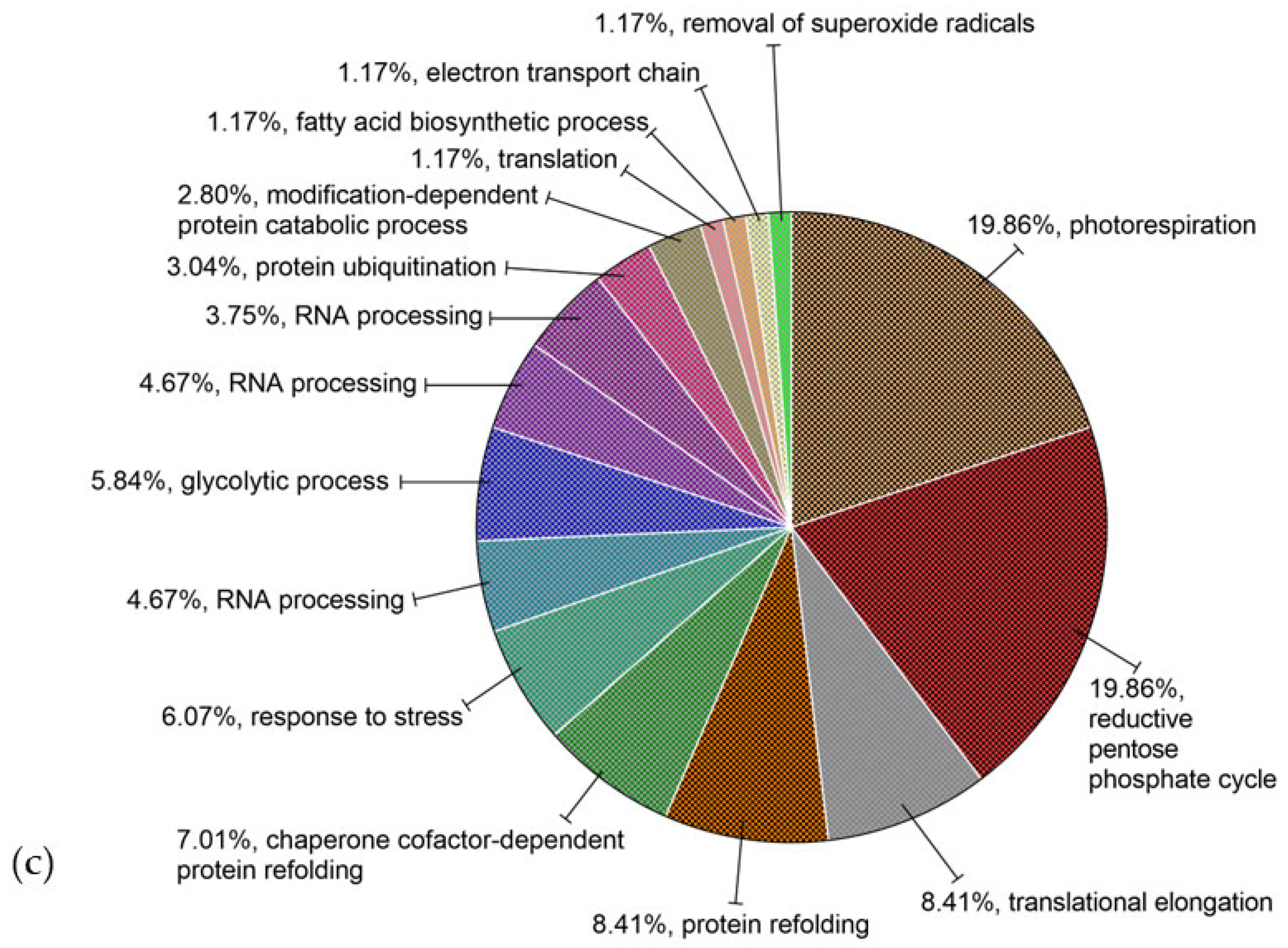 Foods 13 03275 g003b