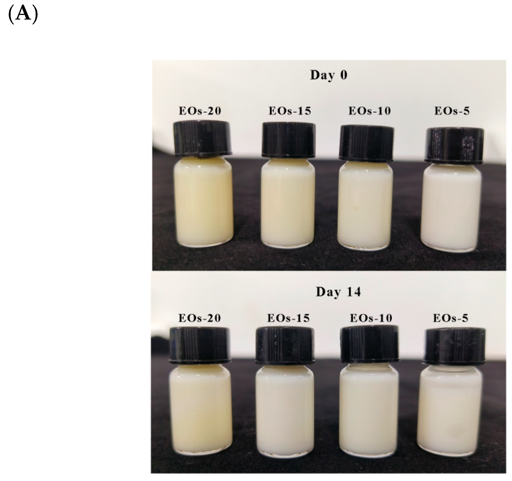 Foods 13 03487 g004a