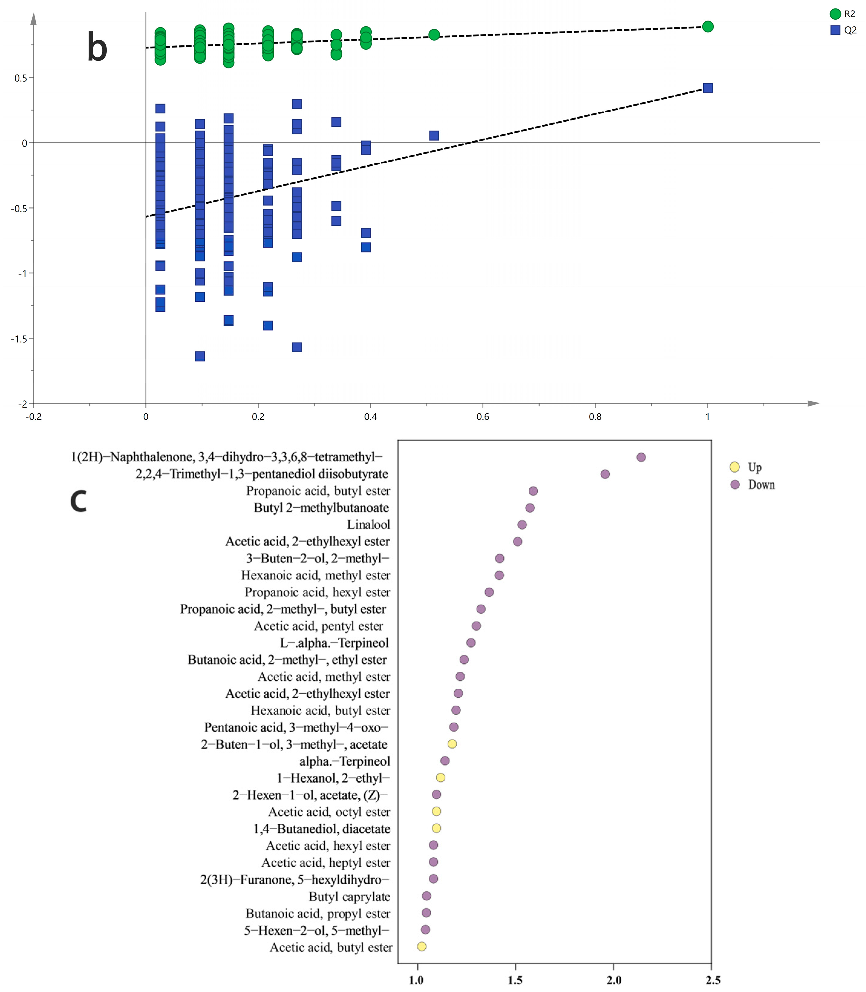 Foods 13 03515 g003b