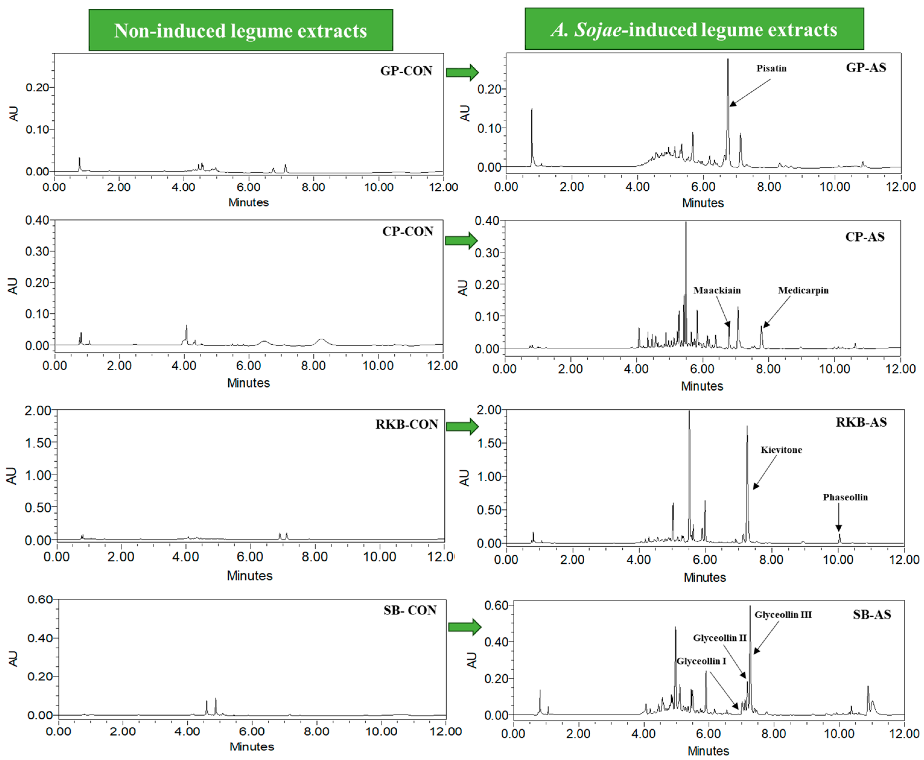 Foods 13 03533 g001 Foods 13 03533 g001