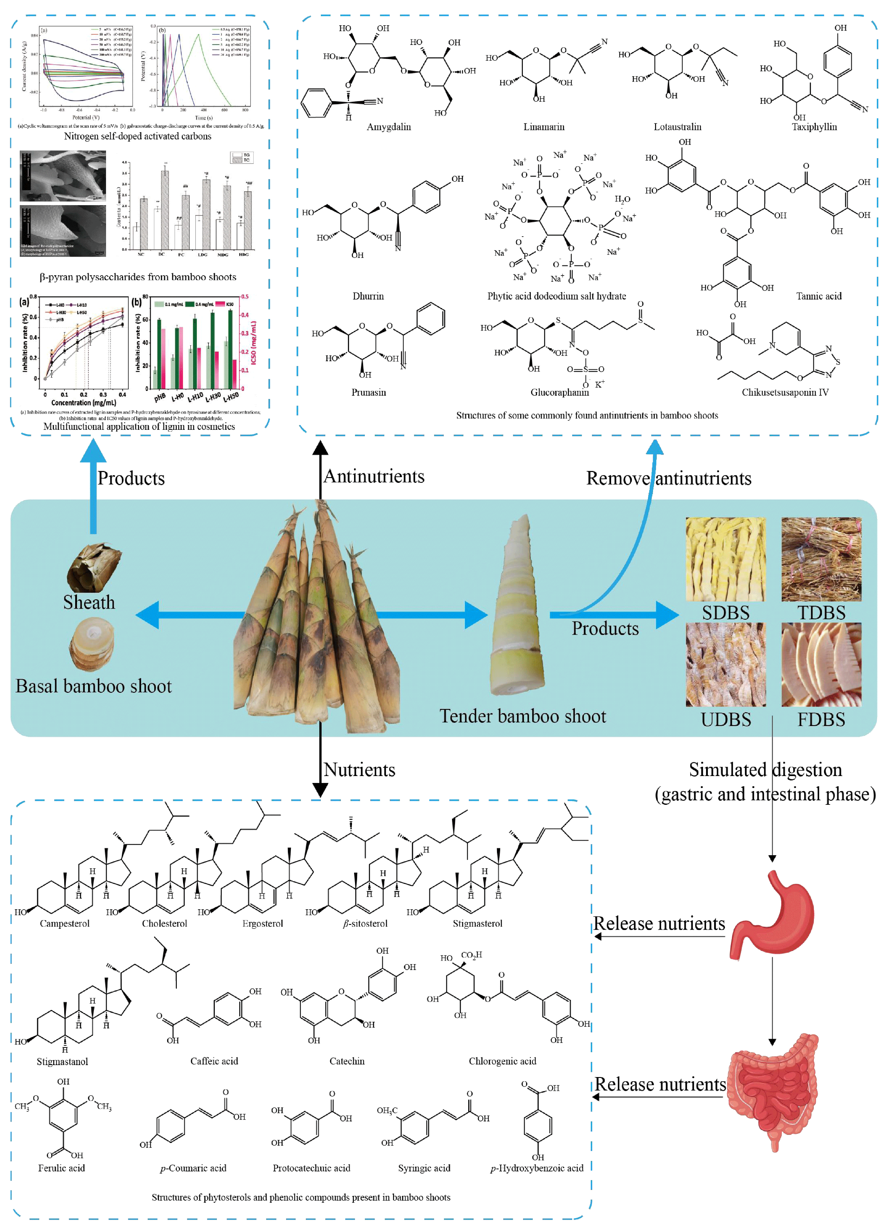 A Review of the Nutritional Composition, Storage Challenges, Processing Technology and Widespread Use of Bamboo Shoots A Review of the Nutritional Composition, Storage Challenges, Processing Technology and Widespread Use of Bamboo Shoots