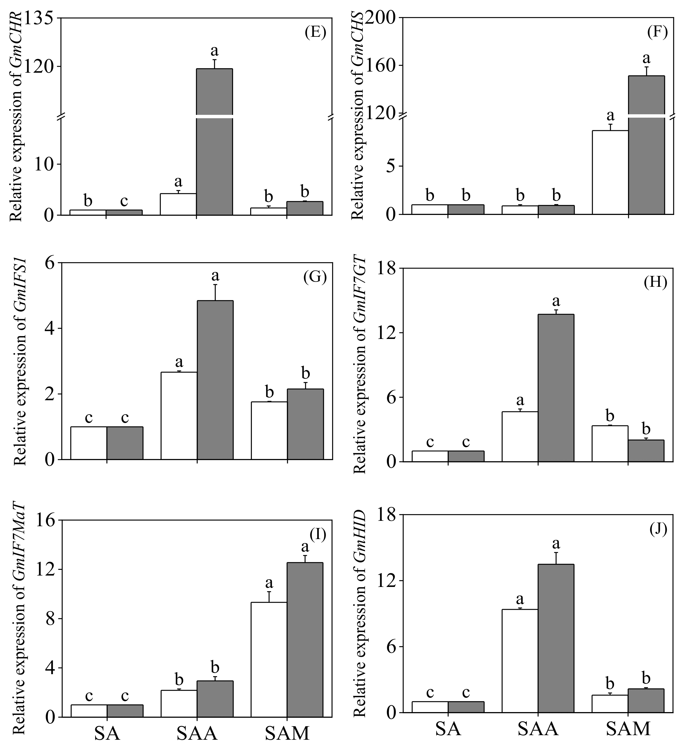 Foods 13 03567 g005b
