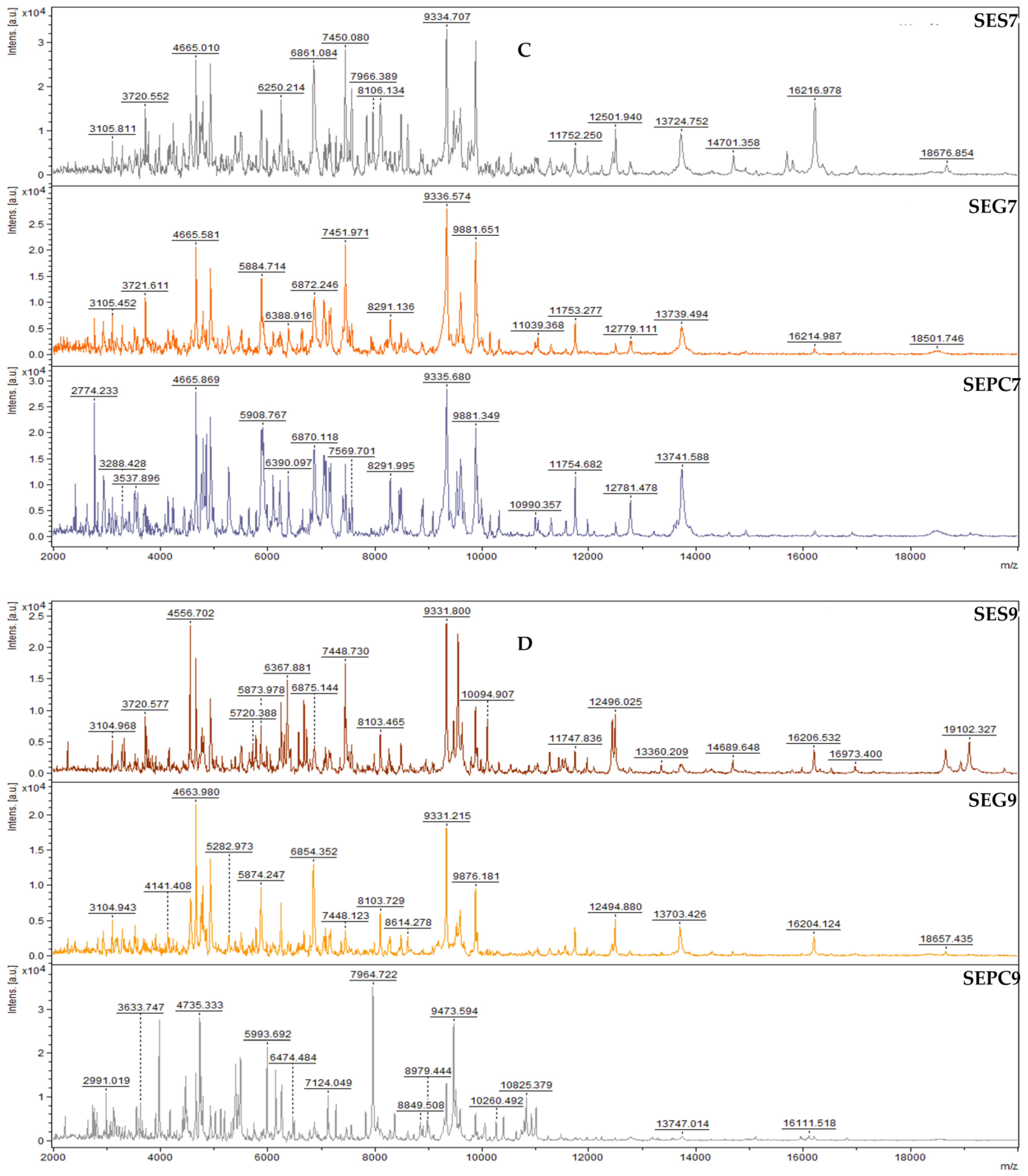 Foods 13 03579 g003b