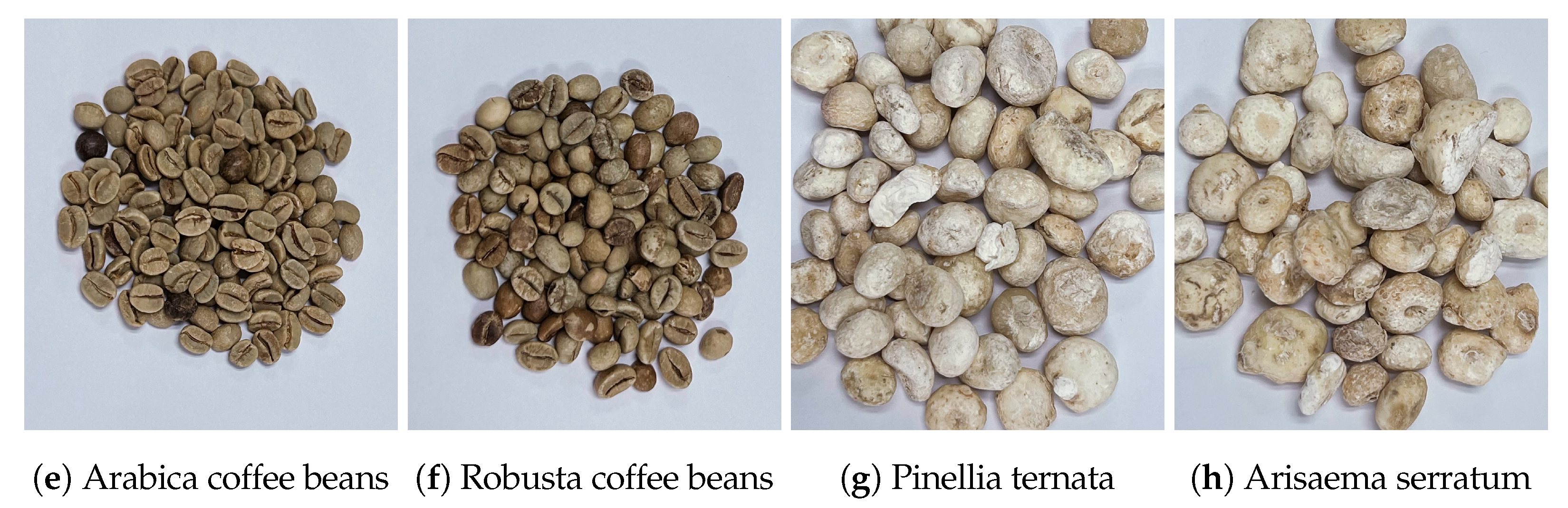 Foods 13 03598 g001b