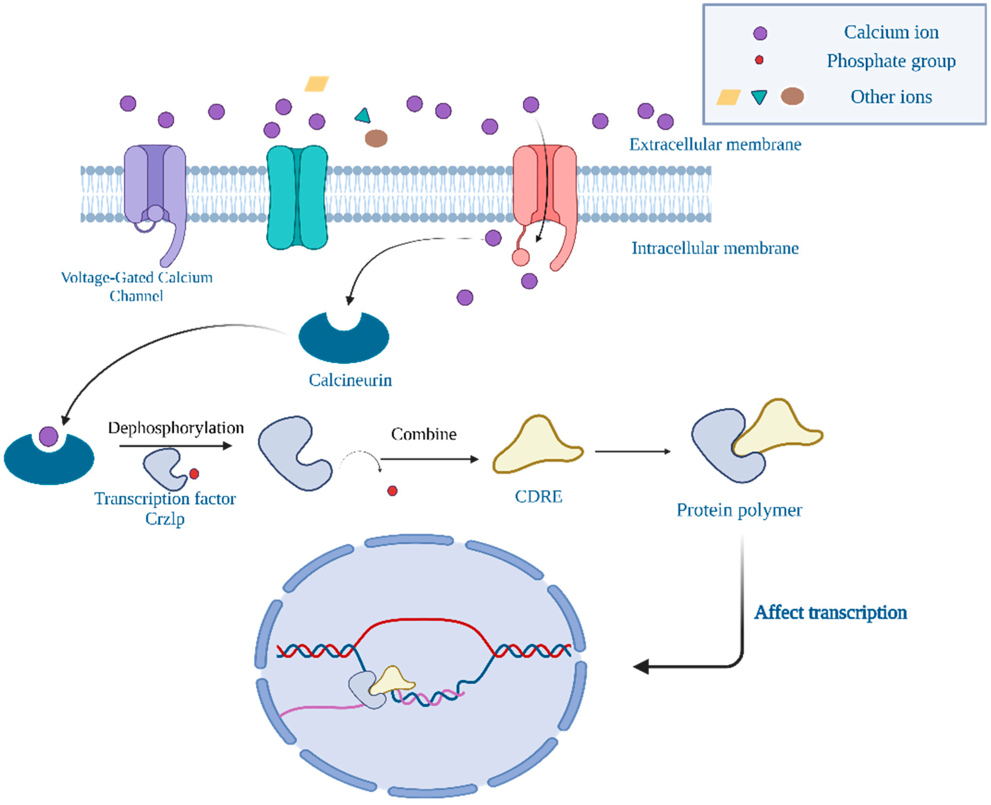 Foods 13 03612 g004 Foods 13 03612 g004