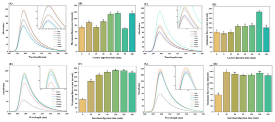 Effect of Inulin and Psyllium Husk Powder on Gel Properties