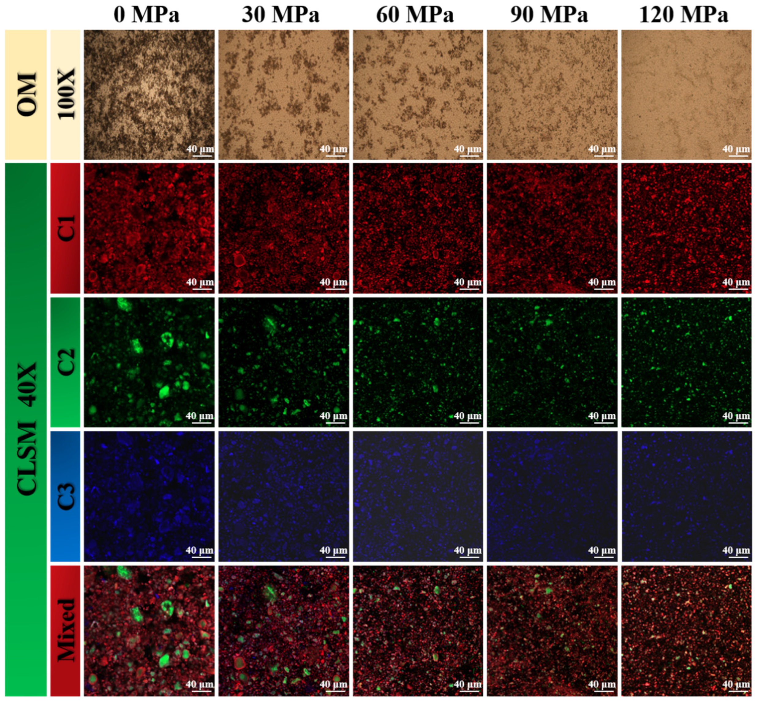 Foods 13 03708 g005 Foods 13 03708 g005