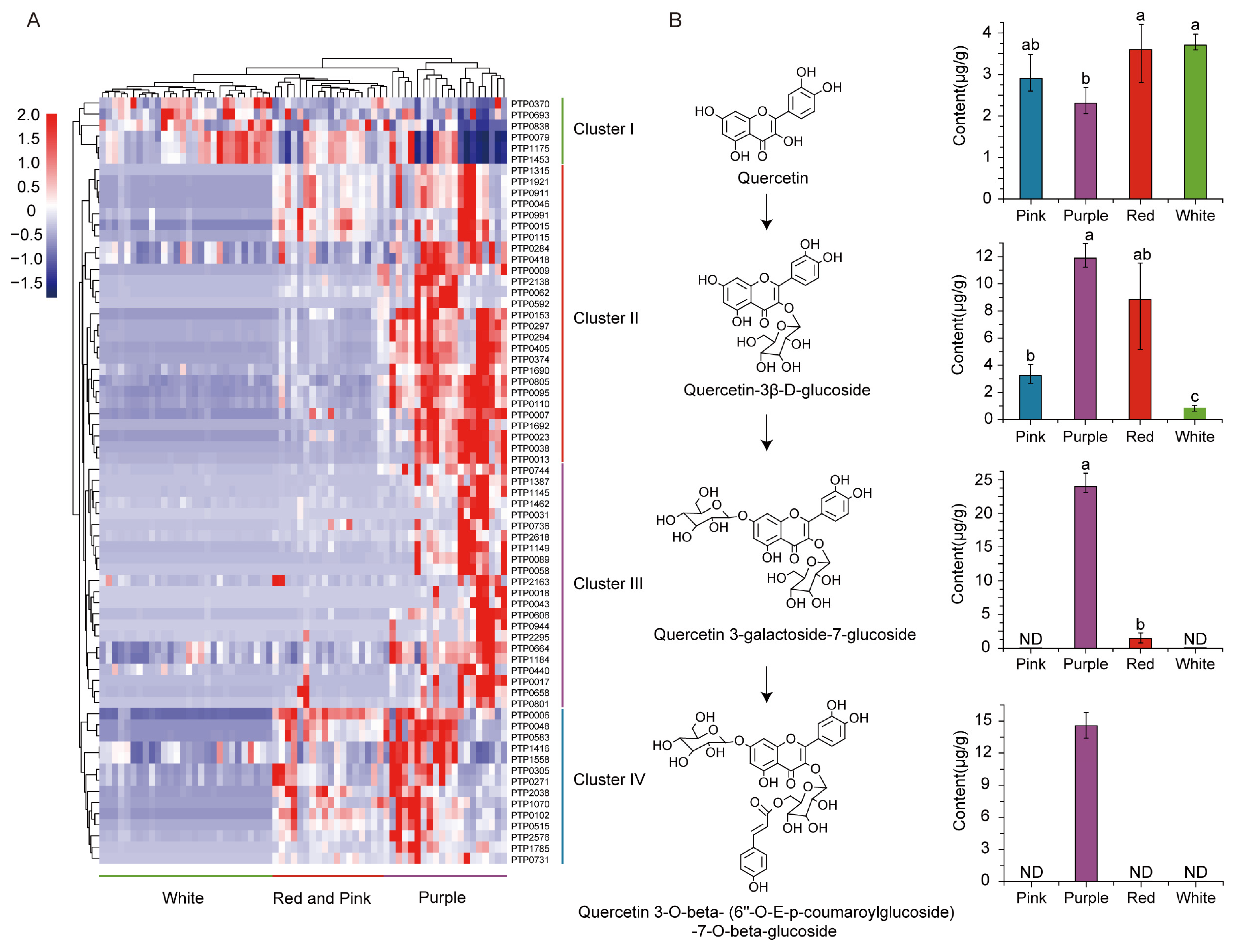 Foods 13 03716 g004 Foods 13 03716 g004